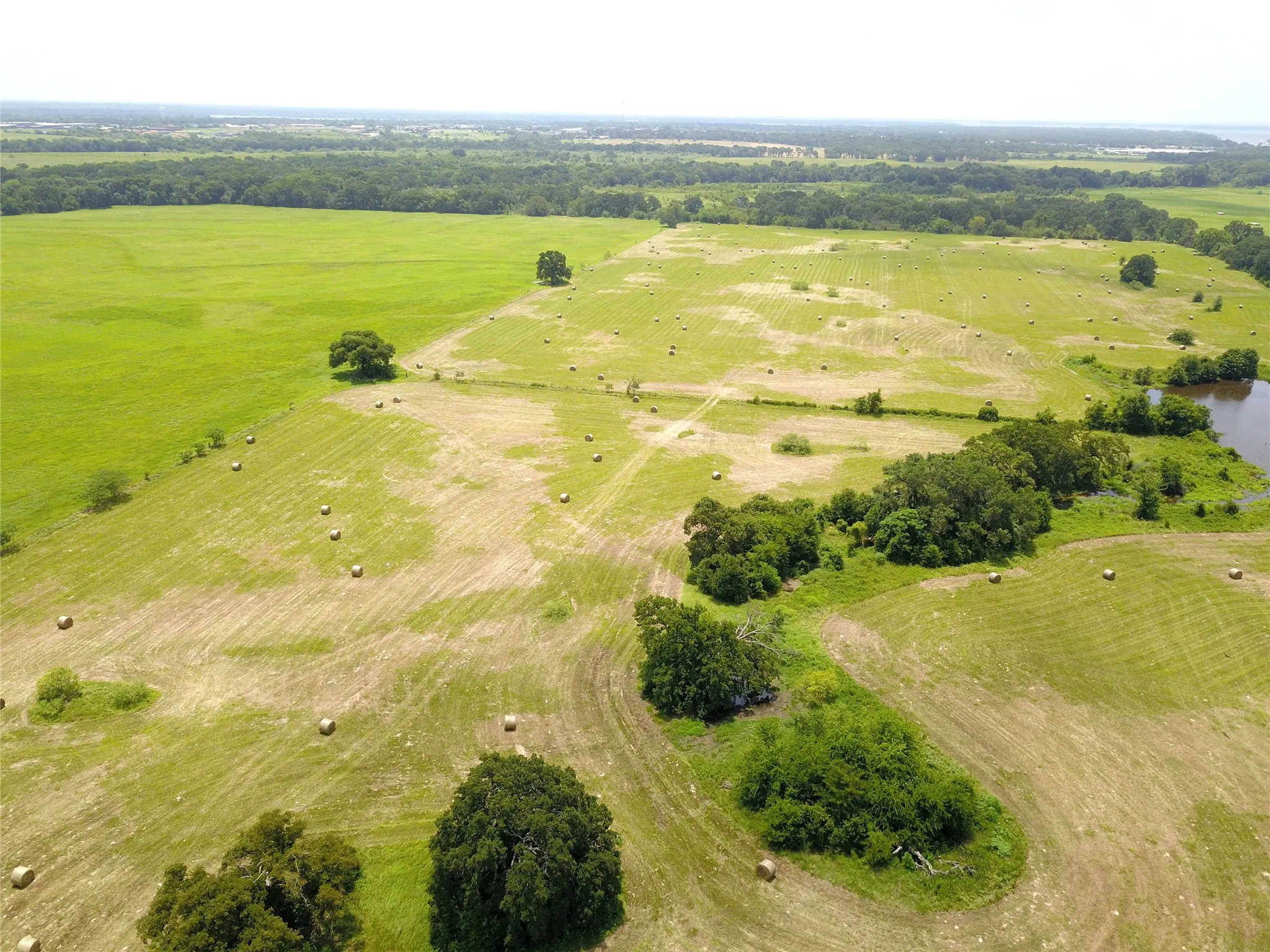 Unimproved Land For Sale in Henderson County , 0000 CR 4006, Mabank, Texas 75147, 0, 0, Garage spaces, 0 Sqft, built in 0, Price $699,000, mls#21248110, Real Estate Agent in Mabank, Homes For Sale in Henderson county, Homes For Sale in Mabank, Realtor in Mabank Texas, Real Estate Brokerage Independent Realty Texas, Luminita Cordes Realtor