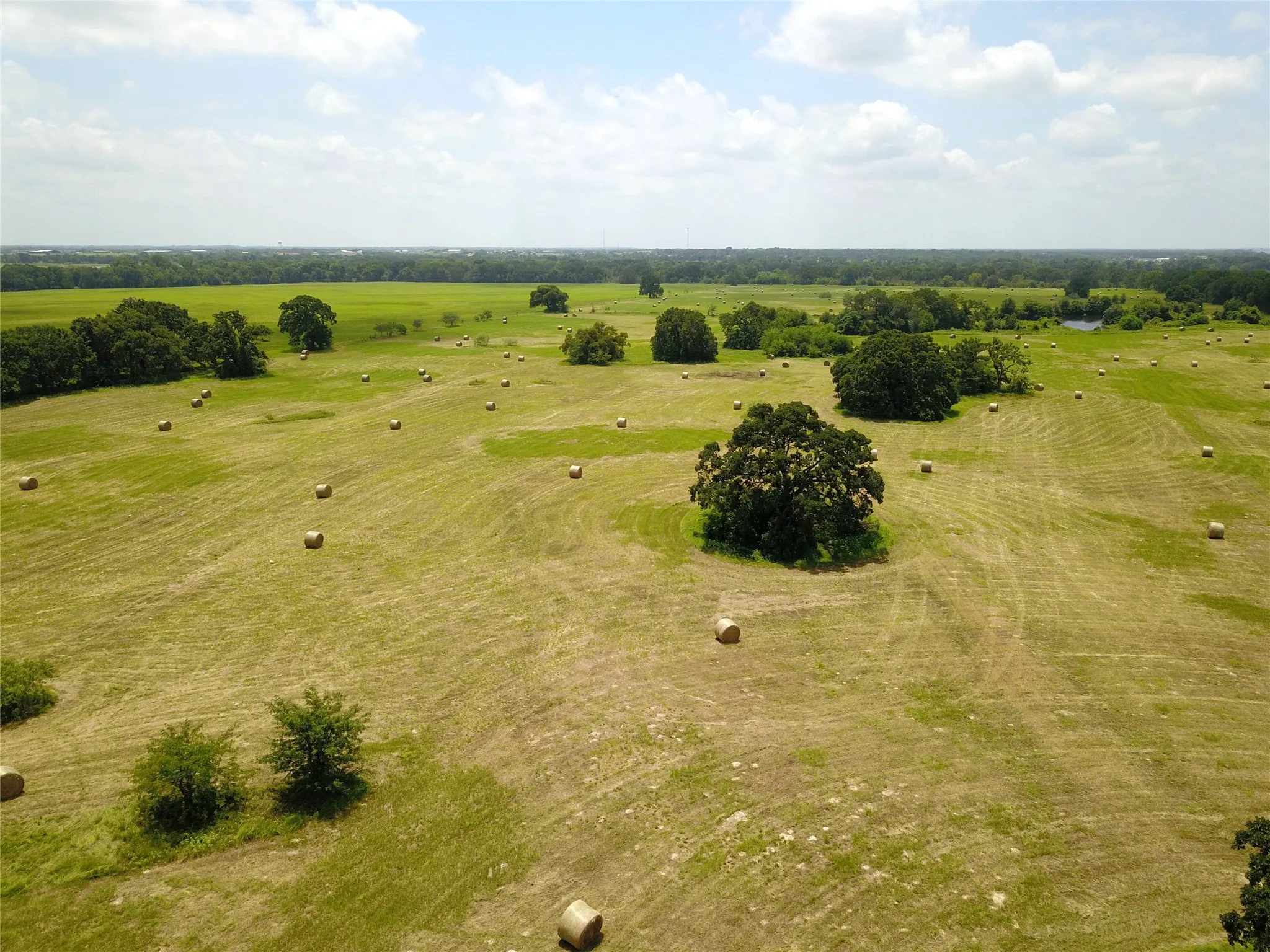 Unimproved Land For Sale in Henderson County , 0000 CR 4006, Mabank, Texas 75147, 0, 0, Garage spaces, 0 Sqft, built in 0, Price $699,000, mls#21248110, Real Estate Agent in Mabank, Homes For Sale in Henderson county, Homes For Sale in Mabank, Realtor in Mabank Texas, Real Estate Brokerage Independent Realty Texas, Luminita Cordes Realtor