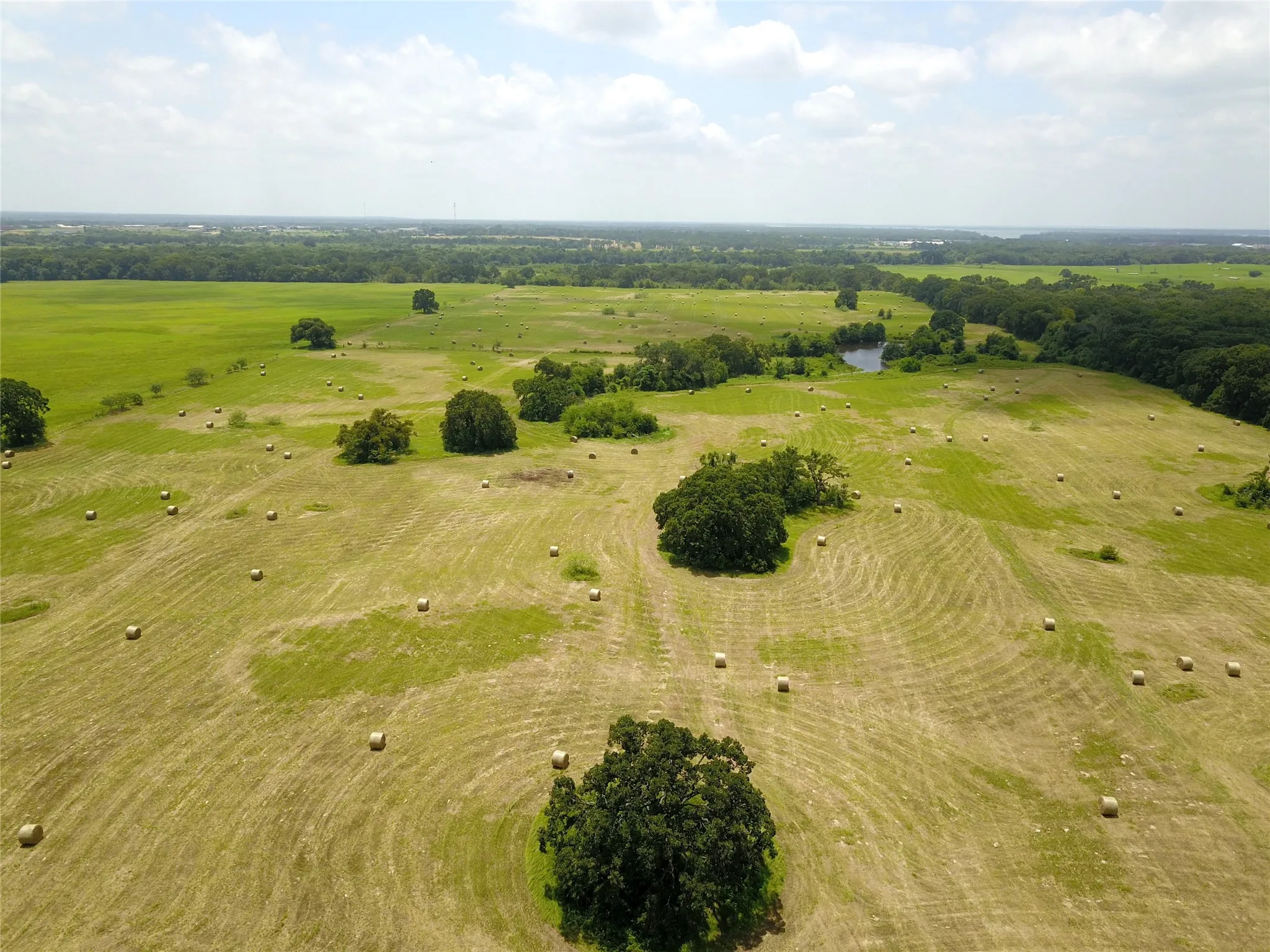 Unimproved Land For Sale in Henderson County , 0000 CR 4006, Mabank, Texas 75147, 0, 0, Garage spaces, 0 Sqft, built in 0, Price $699,000, mls#21248110, Real Estate Agent in Mabank, Homes For Sale in Henderson county, Homes For Sale in Mabank, Realtor in Mabank Texas, Real Estate Brokerage Independent Realty Texas, Luminita Cordes Realtor