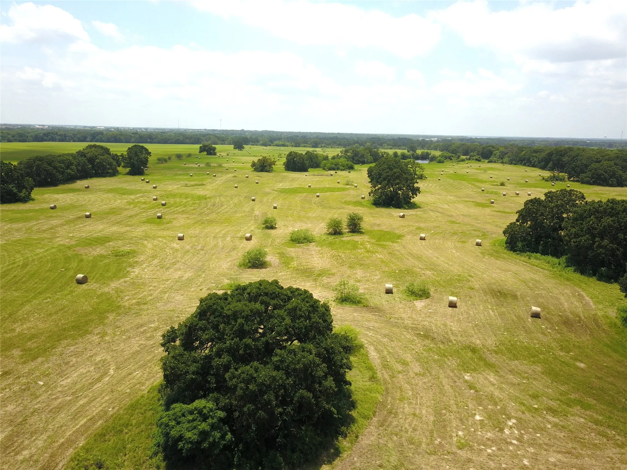 Unimproved Land For Sale in Henderson County , 0000 CR 4006, Mabank, Texas 75147, 0, 0, Garage spaces, 0 Sqft, built in 0, Price $699,000, mls#21248110, Real Estate Agent in Mabank, Homes For Sale in Henderson county, Homes For Sale in Mabank, Realtor in Mabank Texas, Real Estate Brokerage Independent Realty Texas, Luminita Cordes Realtor