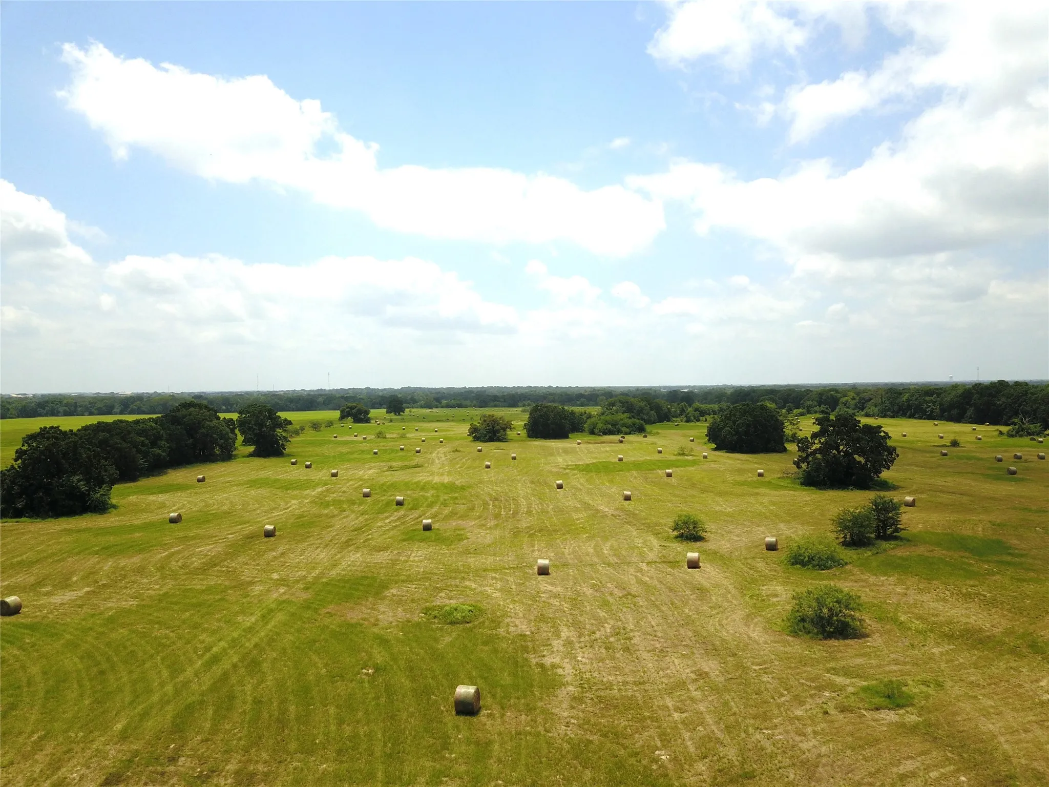 Unimproved Land For Sale in Henderson County , 0000 CR 4006, Mabank, Texas 75147, 0, 0, Garage spaces, 0 Sqft, built in 0, Price $699,000, mls#21248110, Real Estate Agent in Mabank, Homes For Sale in Henderson county, Homes For Sale in Mabank, Realtor in Mabank Texas, Real Estate Brokerage Independent Realty Texas, Luminita Cordes Realtor