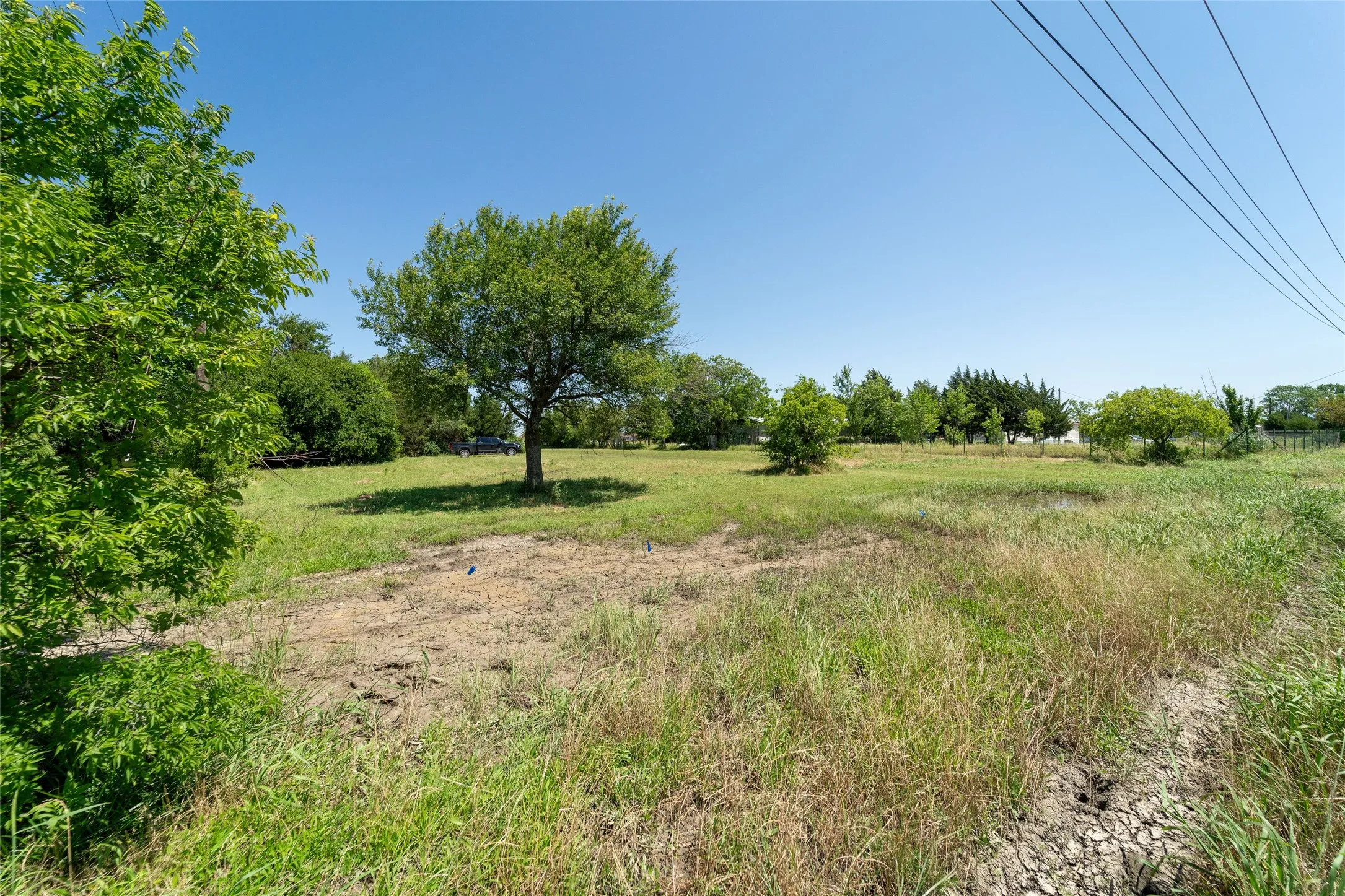 Expansive open lot featuring natural grasses and mature trees under a clear sky