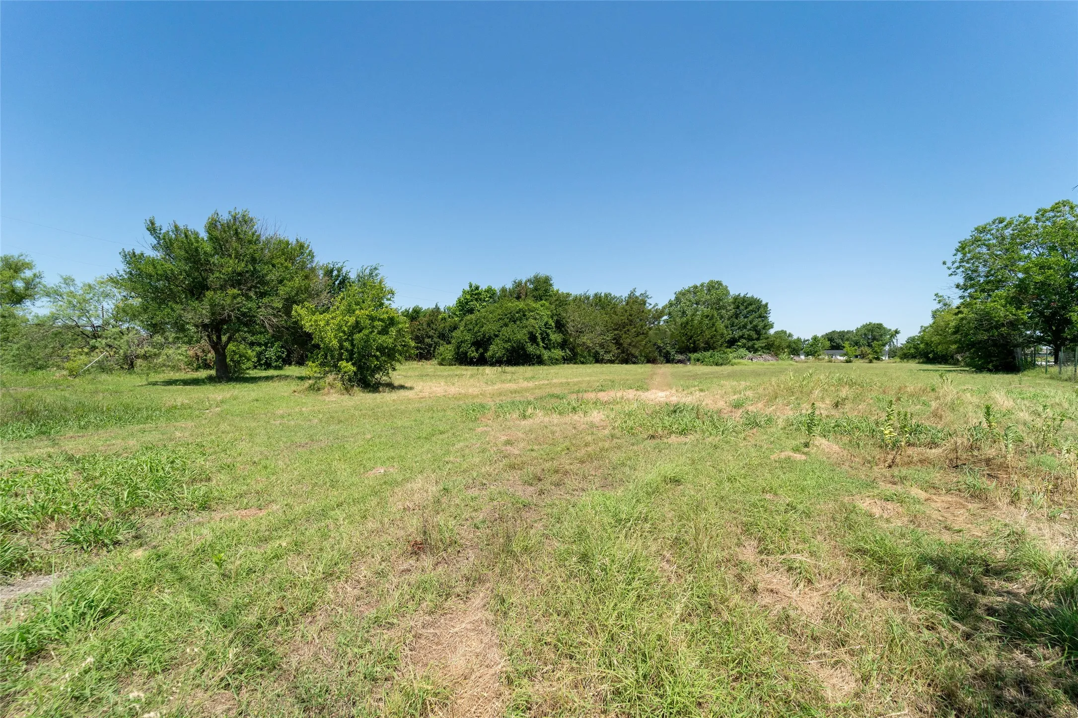 Expansive open lot with natural grass and scattered mature trees