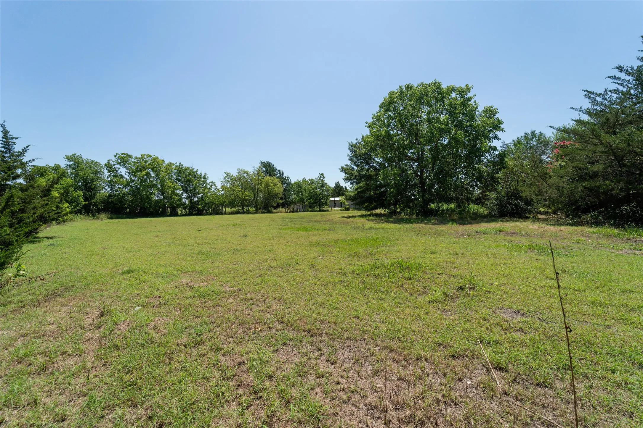 Expansive grass lawn bordered by mature trees