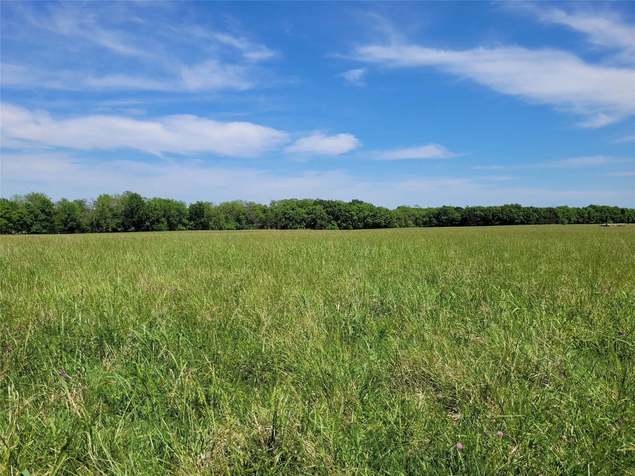 Unimproved Land For Sale in Red River (TX) County , TBD N HIGHWAY 37, Clarksville, Texas 75426, 0, 0, Garage spaces, 0 Sqft, built in 0, Price $249,000, mls#21248178, Real Estate Agent in Clarksville, Homes For Sale in Red River (TX) county, Homes For Sale in Clarksville, Realtor in Clarksville Texas, Real Estate Brokerage Independent Realty Texas, Luminita Cordes Realtor