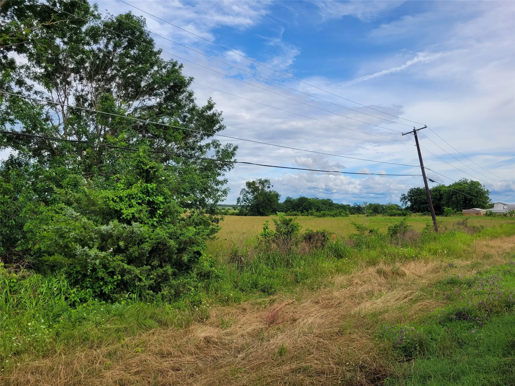 Unimproved Land For Sale in Red River (TX) County , TBD N HIGHWAY 37, Clarksville, Texas 75426, 0, 0, Garage spaces, 0 Sqft, built in 0, Price $249,000, mls#21248178, Real Estate Agent in Clarksville, Homes For Sale in Red River (TX) county, Homes For Sale in Clarksville, Realtor in Clarksville Texas, Real Estate Brokerage Independent Realty Texas, Luminita Cordes Realtor