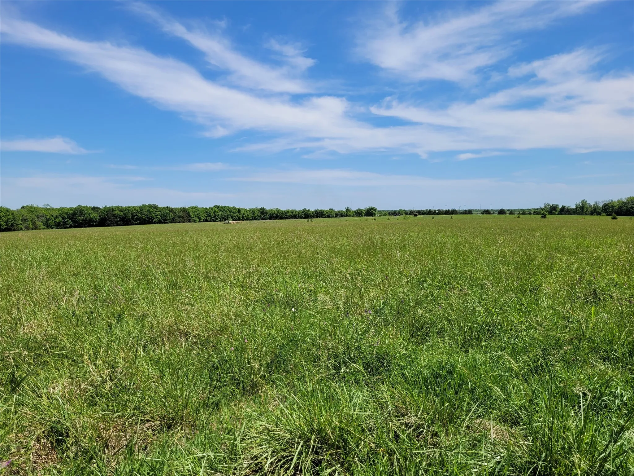 Unimproved Land For Sale in Red River (TX) County , TBD N HIGHWAY 37, Clarksville, Texas 75426, 0, 0, Garage spaces, 0 Sqft, built in 0, Price $249,000, mls#21248178, Real Estate Agent in Clarksville, Homes For Sale in Red River (TX) county, Homes For Sale in Clarksville, Realtor in Clarksville Texas, Real Estate Brokerage Independent Realty Texas, Luminita Cordes Realtor