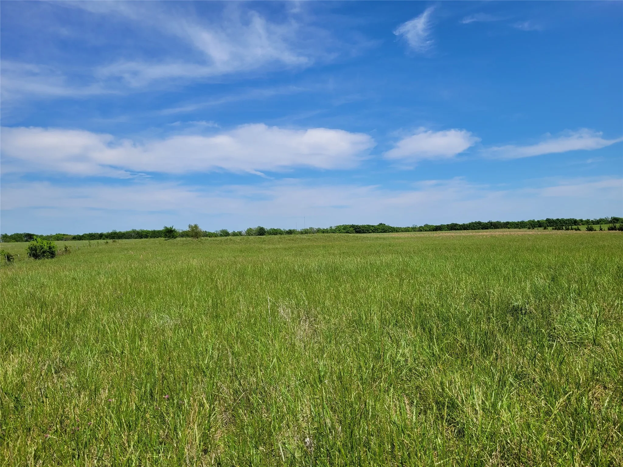 Unimproved Land For Sale in Red River (TX) County , TBD N HIGHWAY 37, Clarksville, Texas 75426, 0, 0, Garage spaces, 0 Sqft, built in 0, Price $249,000, mls#21248178, Real Estate Agent in Clarksville, Homes For Sale in Red River (TX) county, Homes For Sale in Clarksville, Realtor in Clarksville Texas, Real Estate Brokerage Independent Realty Texas, Luminita Cordes Realtor