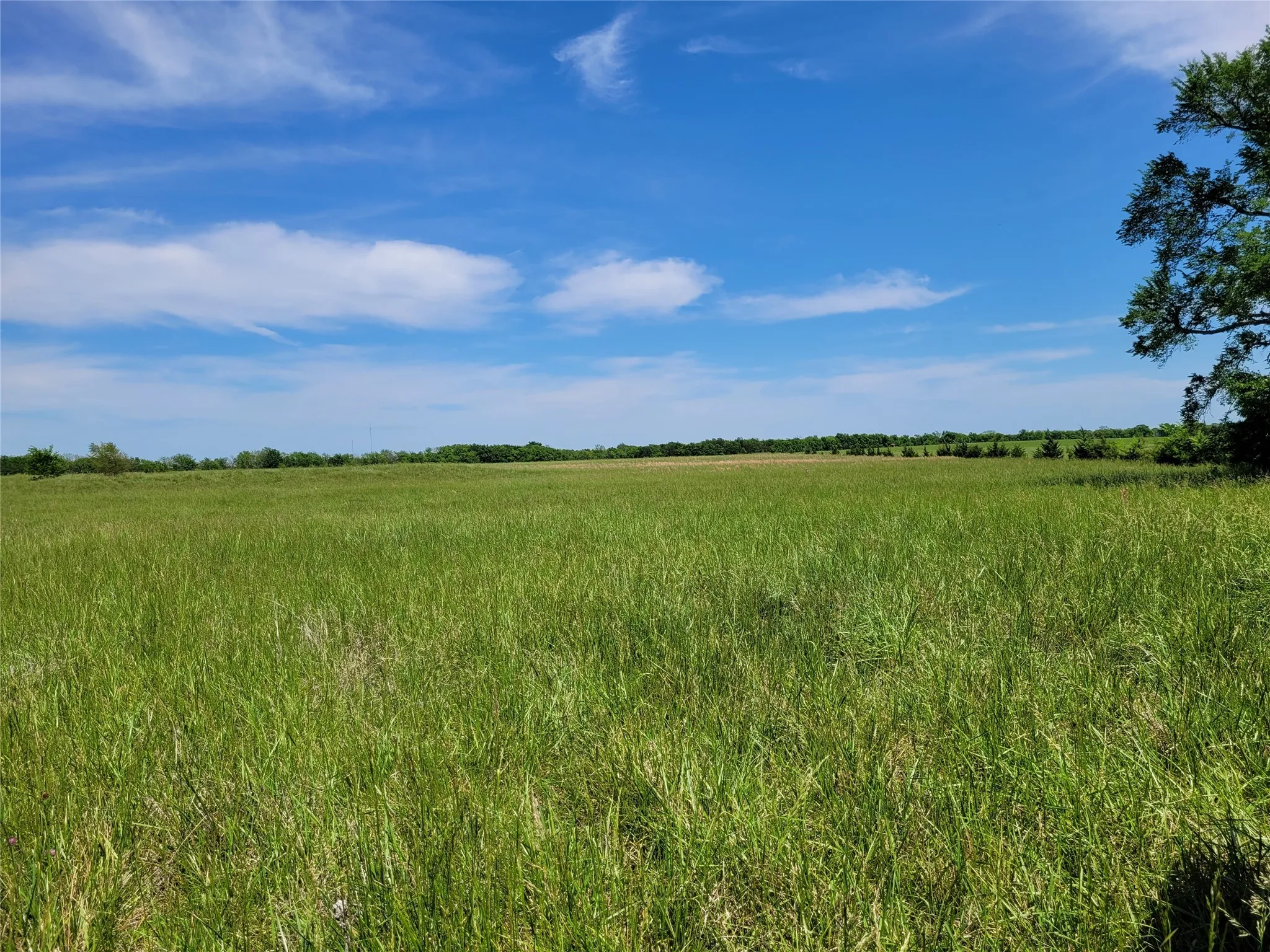 Unimproved Land For Sale in Red River (TX) County , TBD N HIGHWAY 37, Clarksville, Texas 75426, 0, 0, Garage spaces, 0 Sqft, built in 0, Price $249,000, mls#21248178, Real Estate Agent in Clarksville, Homes For Sale in Red River (TX) county, Homes For Sale in Clarksville, Realtor in Clarksville Texas, Real Estate Brokerage Independent Realty Texas, Luminita Cordes Realtor