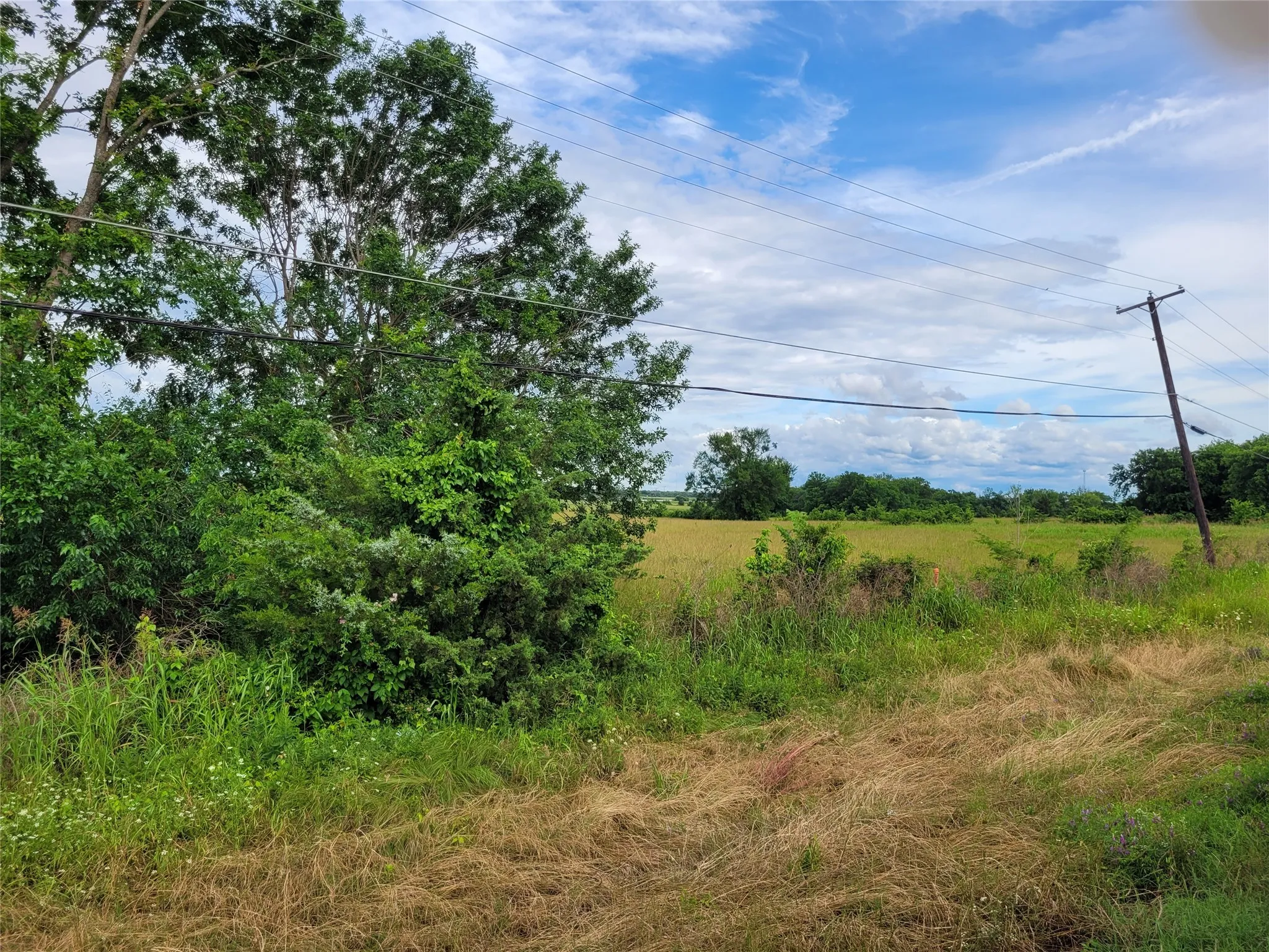Unimproved Land For Sale in Red River (TX) County , TBD N HIGHWAY 37, Clarksville, Texas 75426, 0, 0, Garage spaces, 0 Sqft, built in 0, Price $249,000, mls#21248178, Real Estate Agent in Clarksville, Homes For Sale in Red River (TX) county, Homes For Sale in Clarksville, Realtor in Clarksville Texas, Real Estate Brokerage Independent Realty Texas, Luminita Cordes Realtor