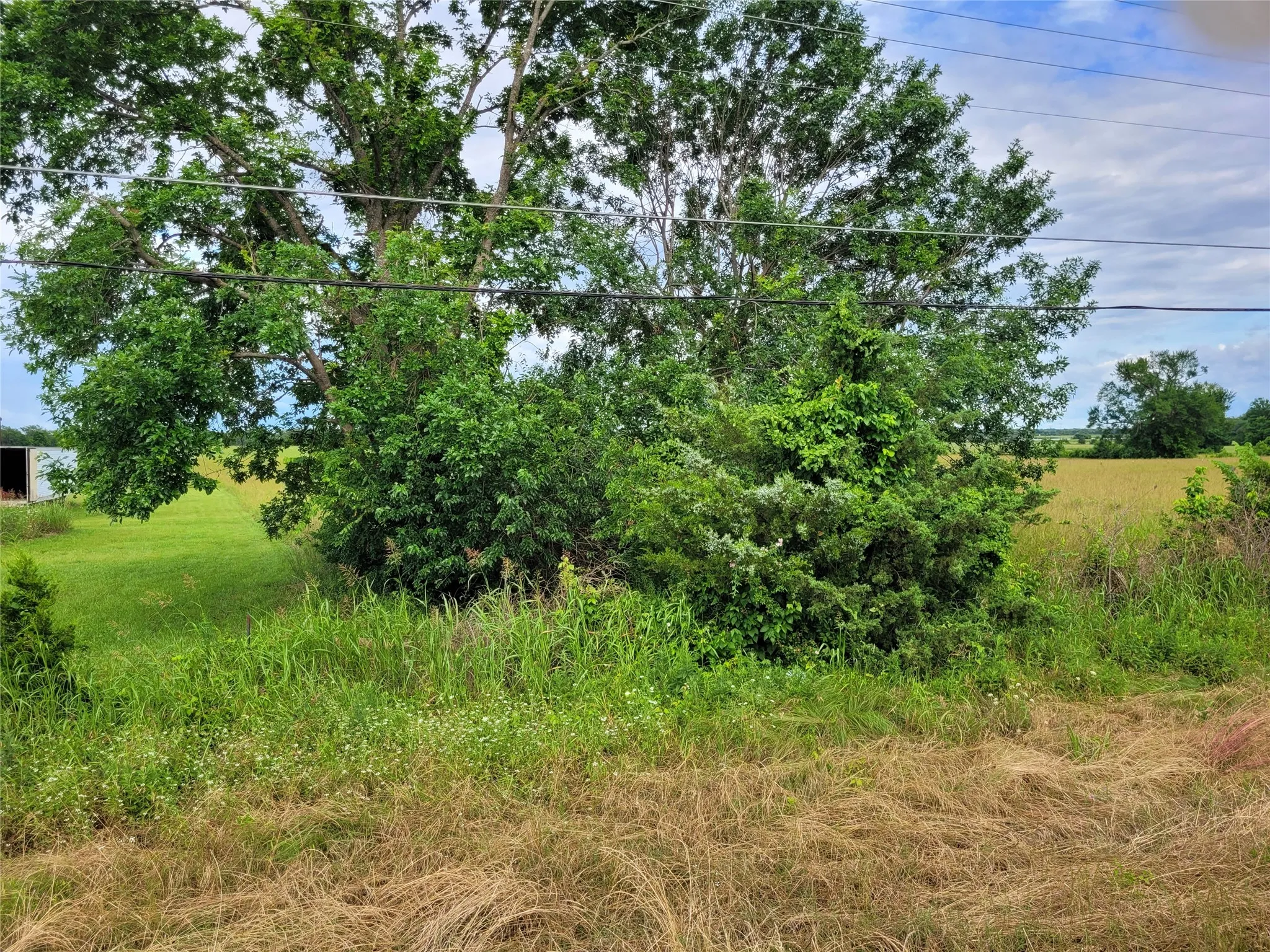 Unimproved Land For Sale in Red River (TX) County , TBD N HIGHWAY 37, Clarksville, Texas 75426, 0, 0, Garage spaces, 0 Sqft, built in 0, Price $249,000, mls#21248178, Real Estate Agent in Clarksville, Homes For Sale in Red River (TX) county, Homes For Sale in Clarksville, Realtor in Clarksville Texas, Real Estate Brokerage Independent Realty Texas, Luminita Cordes Realtor