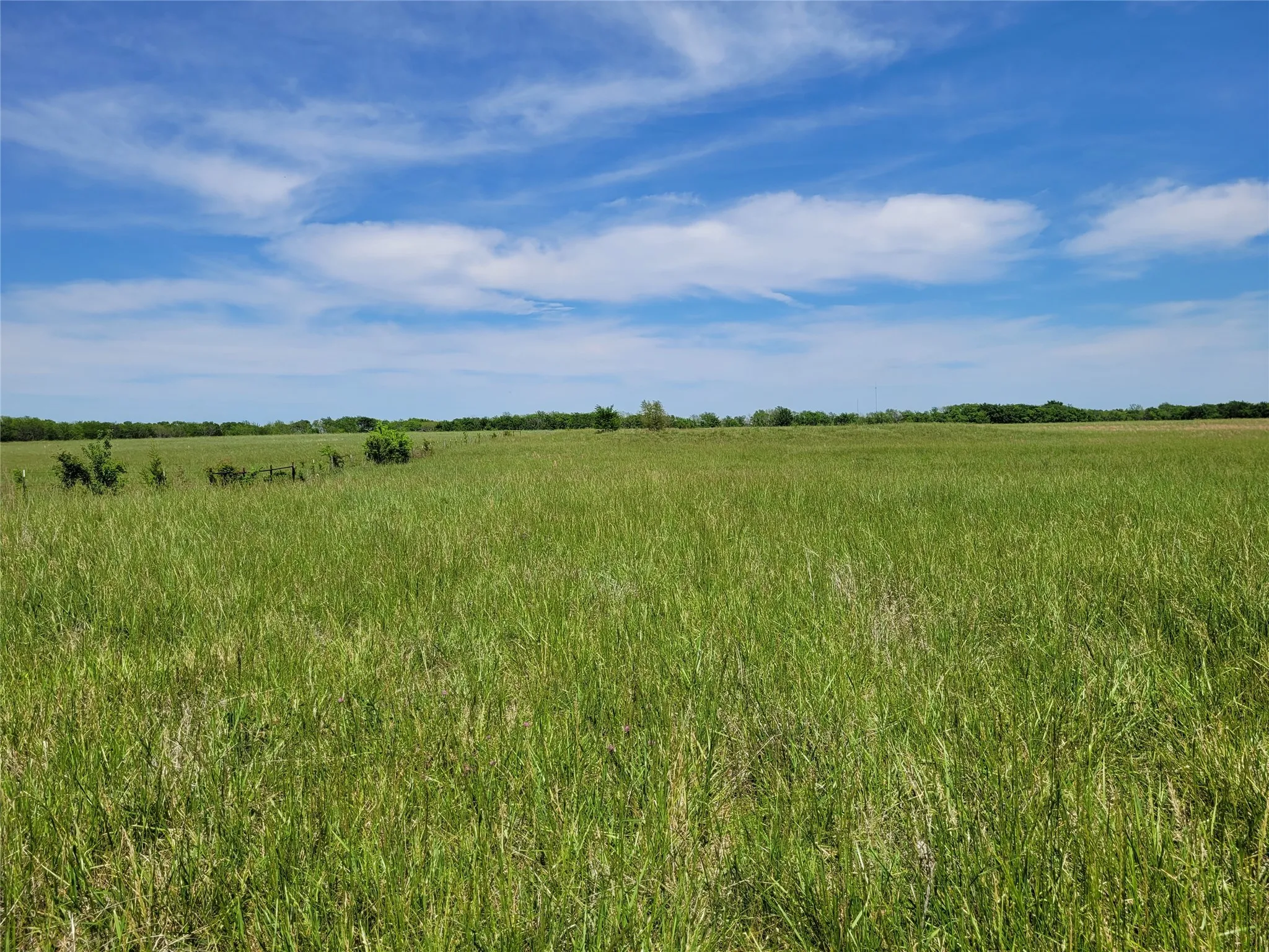 Unimproved Land For Sale in Red River (TX) County , TBD N HIGHWAY 37, Clarksville, Texas 75426, 0, 0, Garage spaces, 0 Sqft, built in 0, Price $249,000, mls#21248178, Real Estate Agent in Clarksville, Homes For Sale in Red River (TX) county, Homes For Sale in Clarksville, Realtor in Clarksville Texas, Real Estate Brokerage Independent Realty Texas, Luminita Cordes Realtor