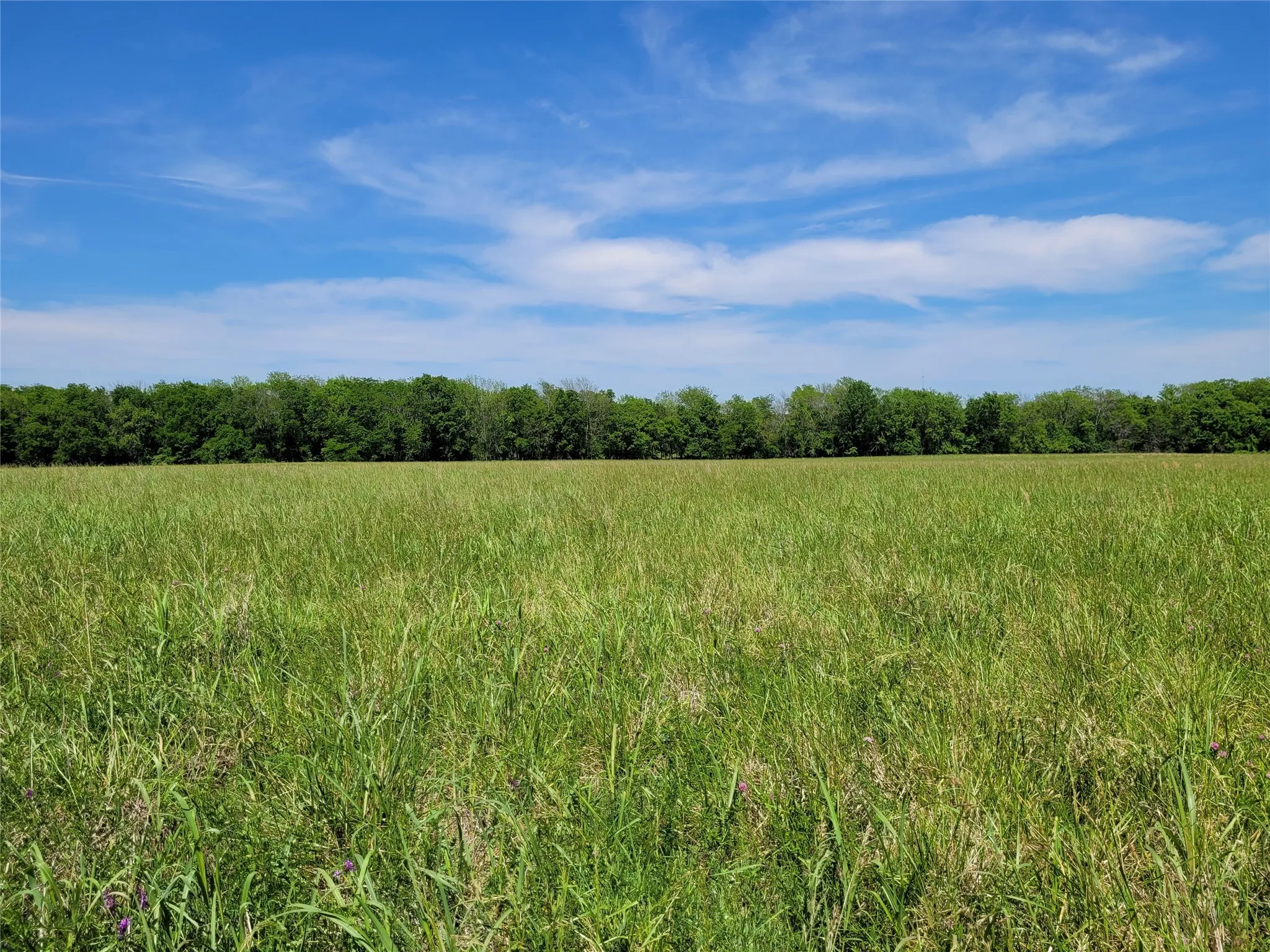Unimproved Land For Sale in Red River (TX) County , TBD N HIGHWAY 37, Clarksville, Texas 75426, 0, 0, Garage spaces, 0 Sqft, built in 0, Price $249,000, mls#21248178, Real Estate Agent in Clarksville, Homes For Sale in Red River (TX) county, Homes For Sale in Clarksville, Realtor in Clarksville Texas, Real Estate Brokerage Independent Realty Texas, Luminita Cordes Realtor