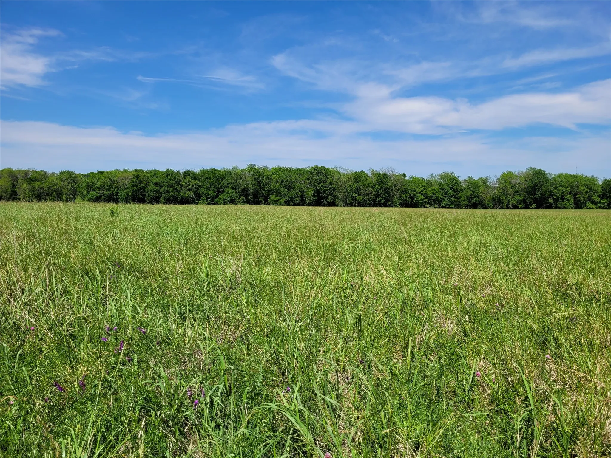 Unimproved Land For Sale in Red River (TX) County , TBD N HIGHWAY 37, Clarksville, Texas 75426, 0, 0, Garage spaces, 0 Sqft, built in 0, Price $249,000, mls#21248178, Real Estate Agent in Clarksville, Homes For Sale in Red River (TX) county, Homes For Sale in Clarksville, Realtor in Clarksville Texas, Real Estate Brokerage Independent Realty Texas, Luminita Cordes Realtor
