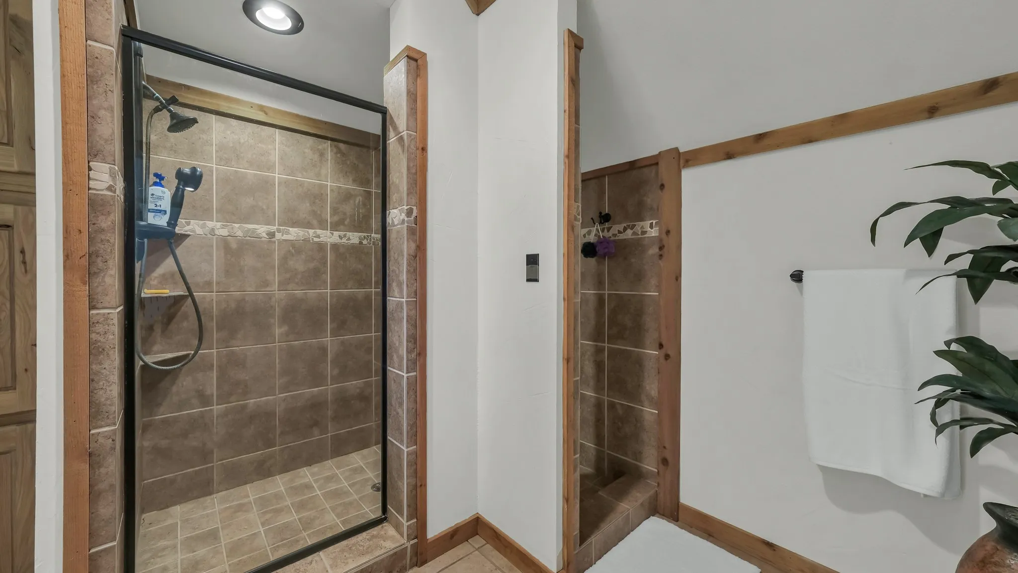 Huge walk-in shower