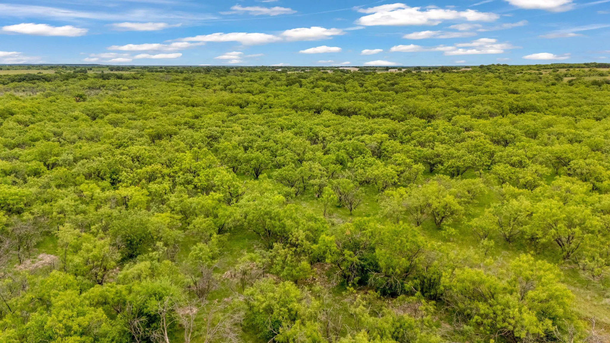 Expansive acreage featuring native pasture and natural ground cover under a bright sky!