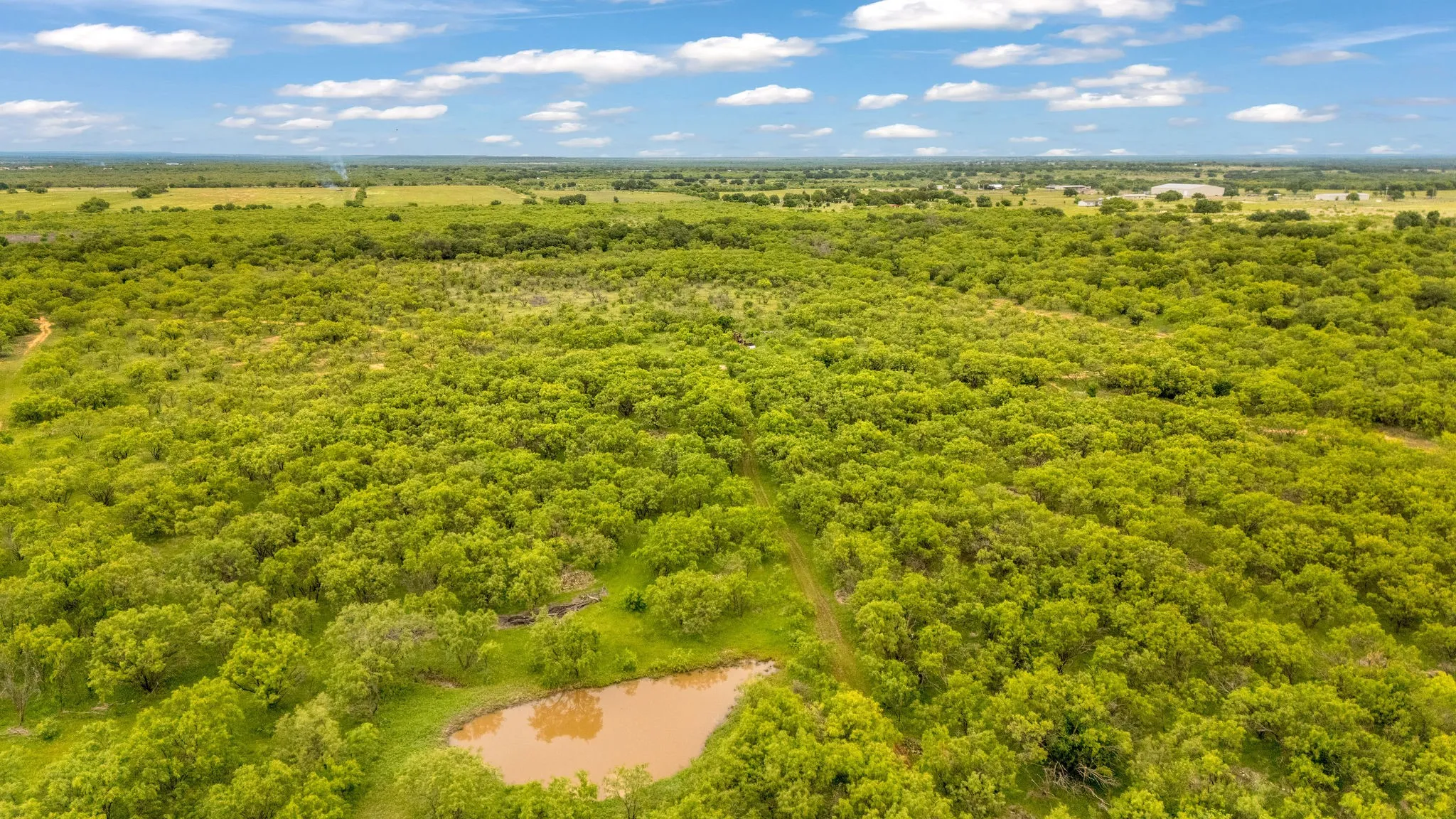Extensive land parcel featuring dense green tree coverage and a natural pond