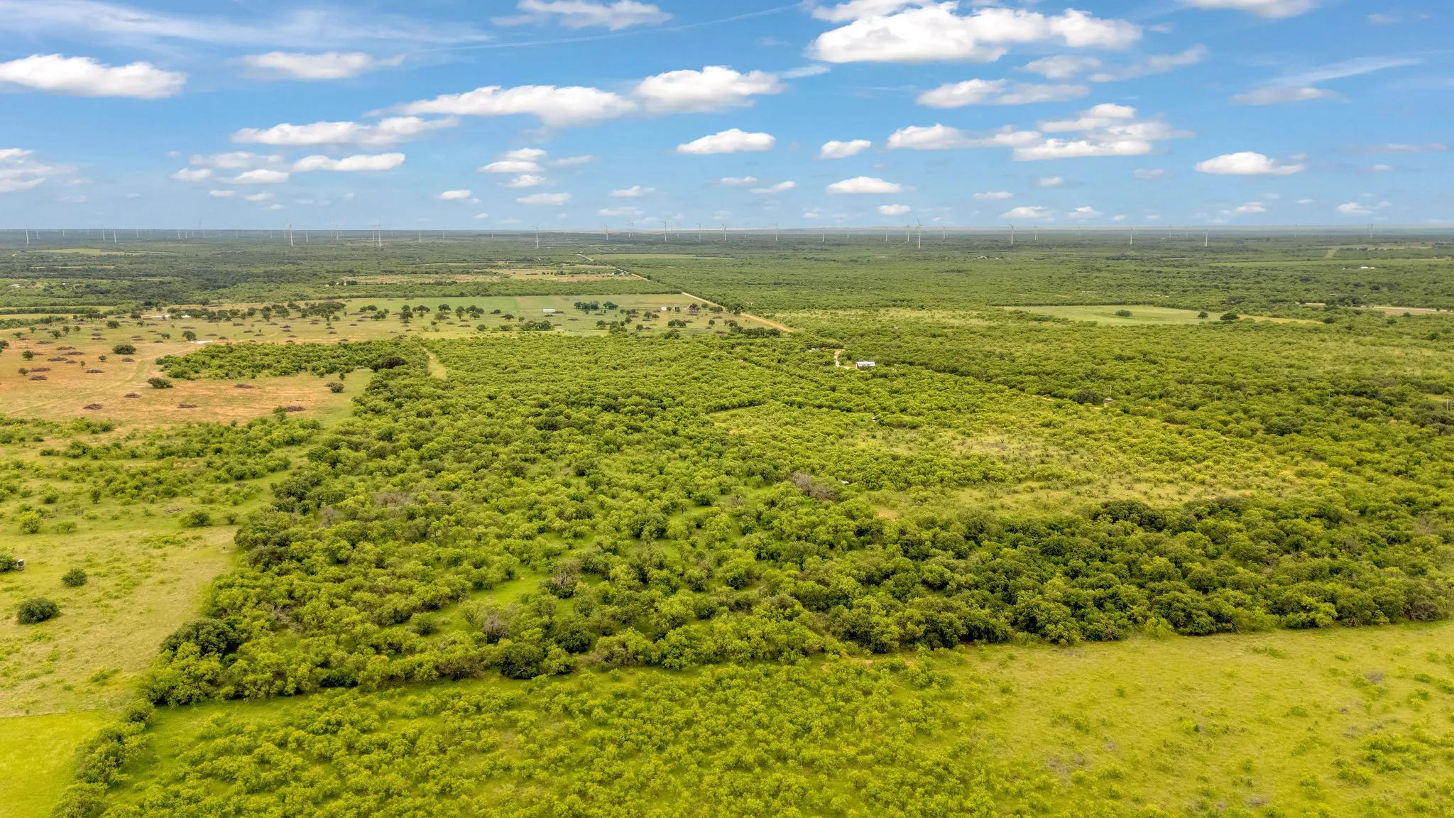 View from North boundary tree line to South boundary ending at fenced tree line before the cleared field. CR 133 on the West boundary.