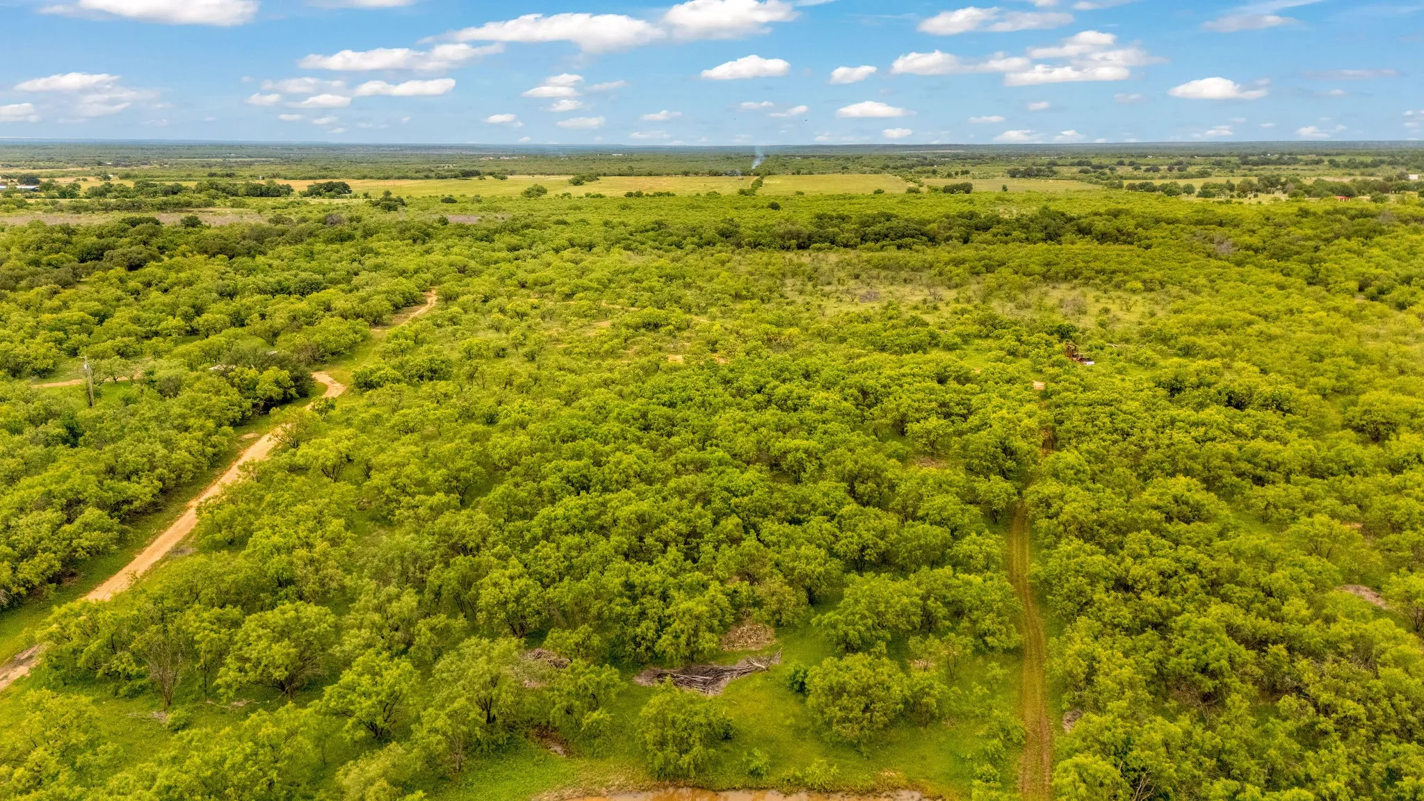 Expansive land parcel featuring dense green tree coverage and a natural landscape