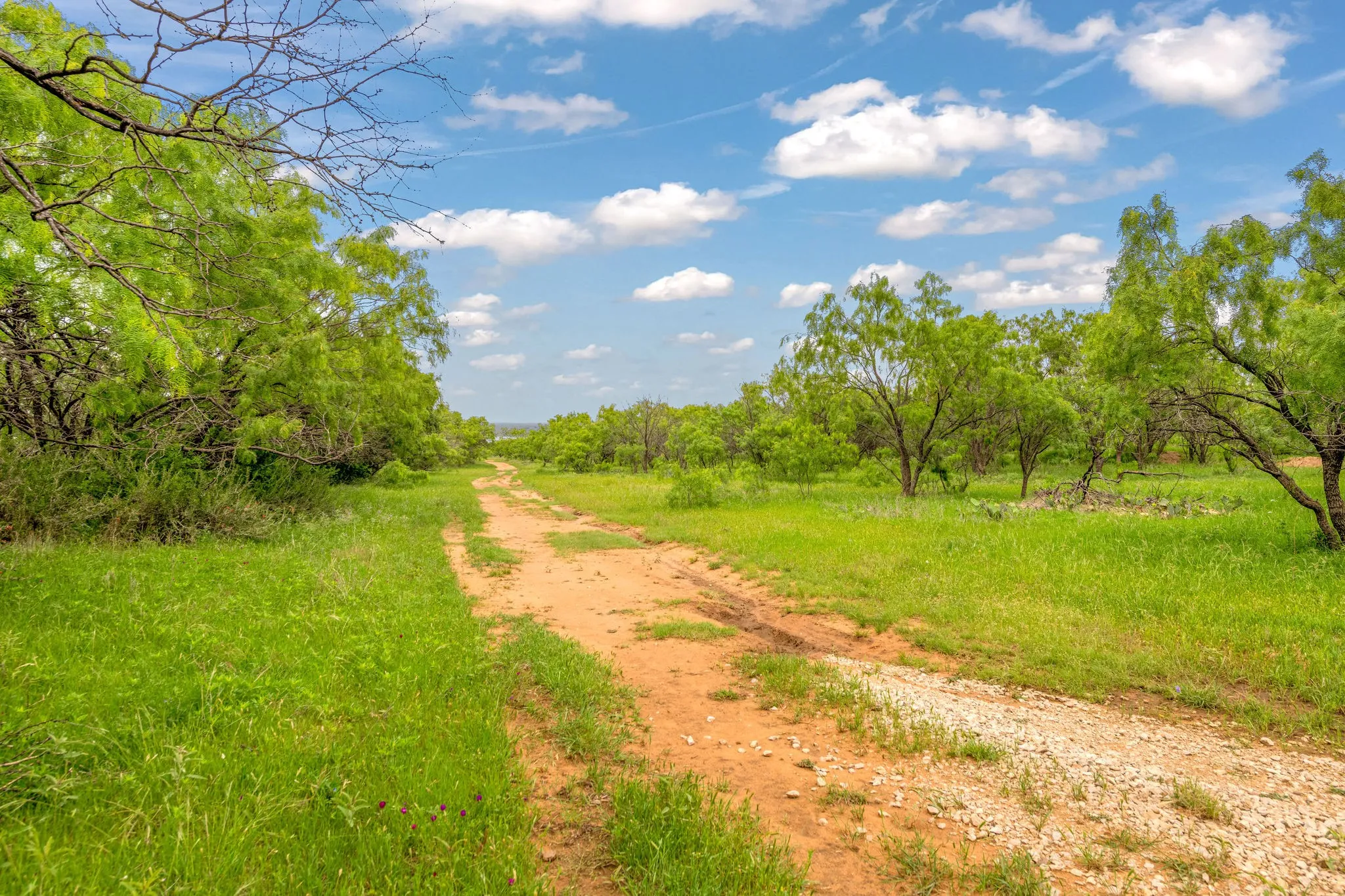 Dirt road.