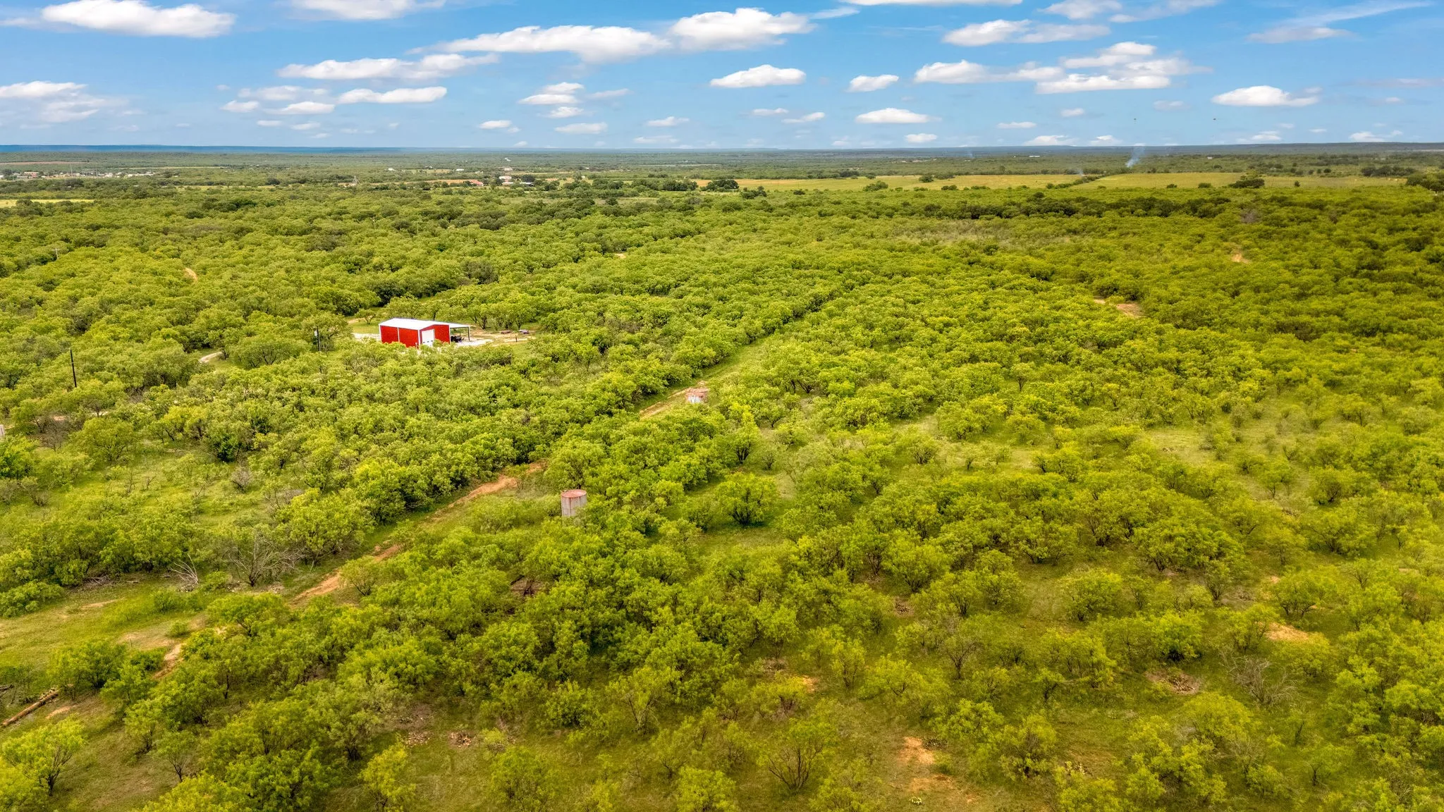 Expansive treed landscape with a red barn structure