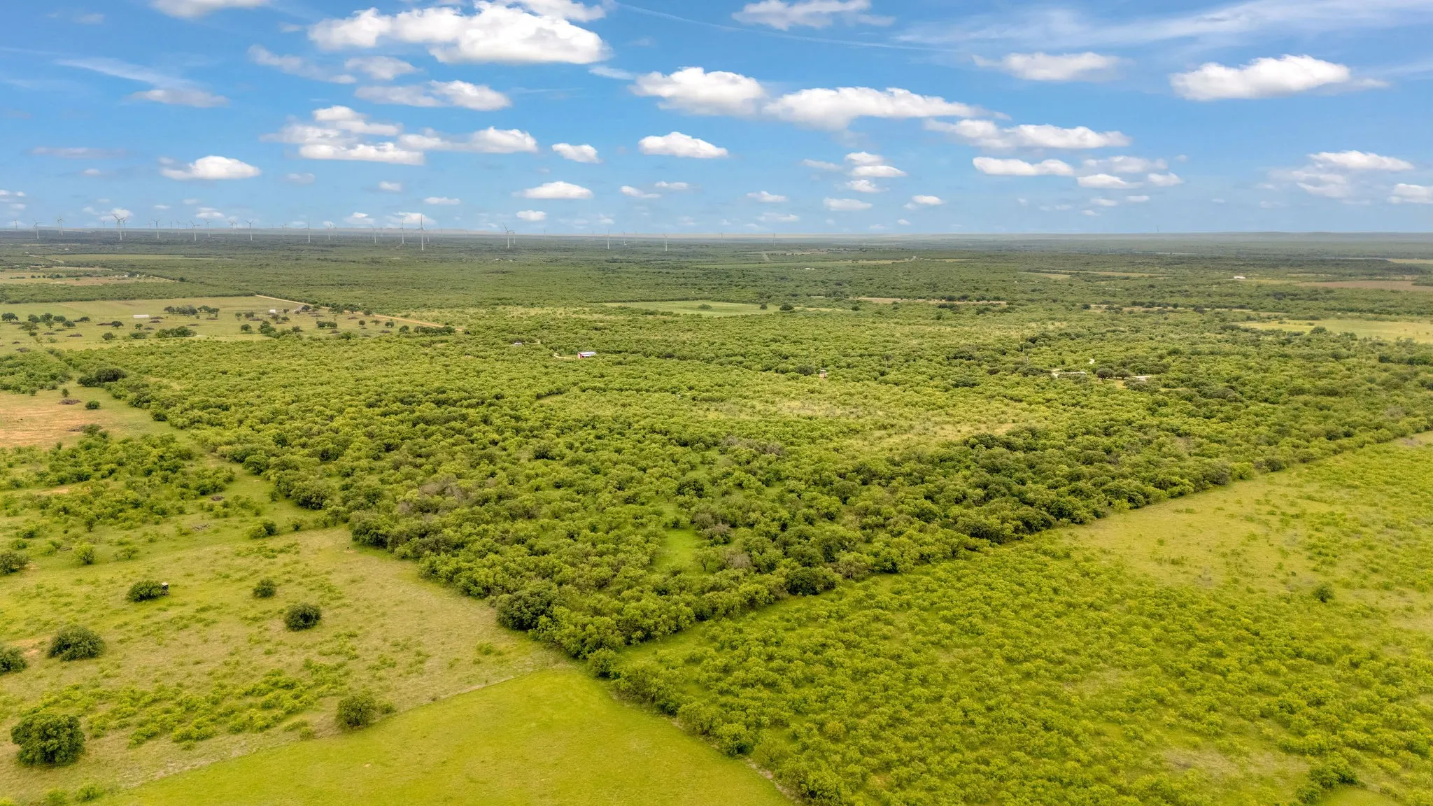 View of North and East property lines defined by fences and trees.