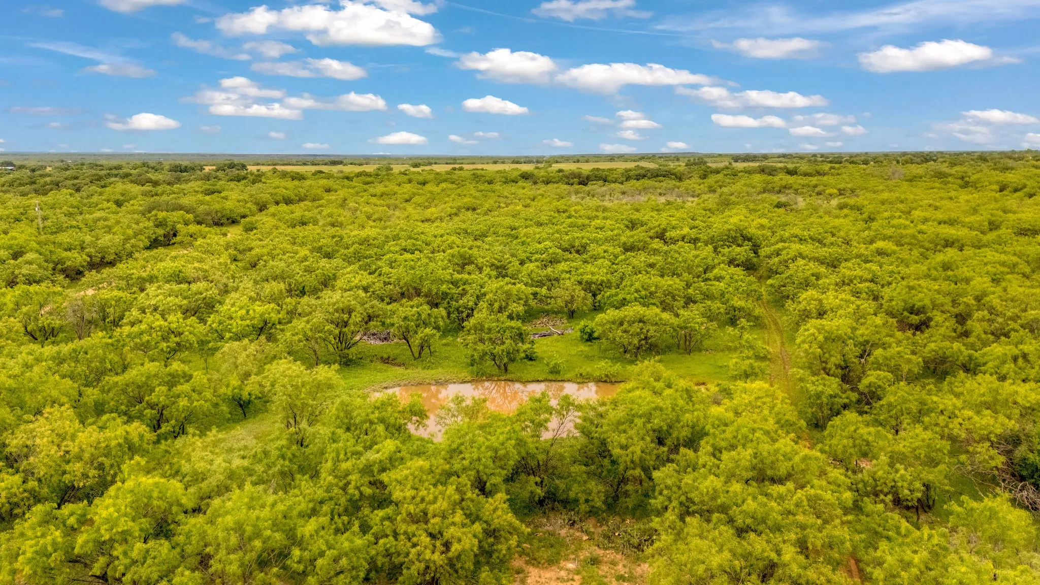 Expansive treed landscape featuring a small pond and a clear sky above