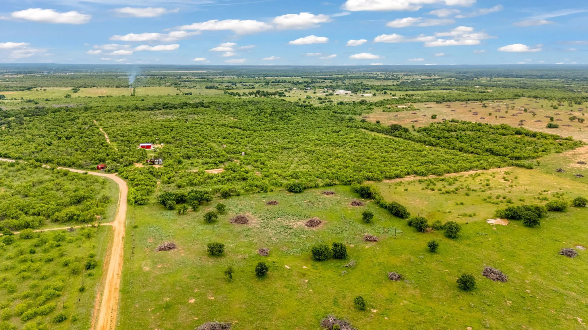 Rural property located off CR 133 Moran, Texas.  View of south property line beginning with tree line.