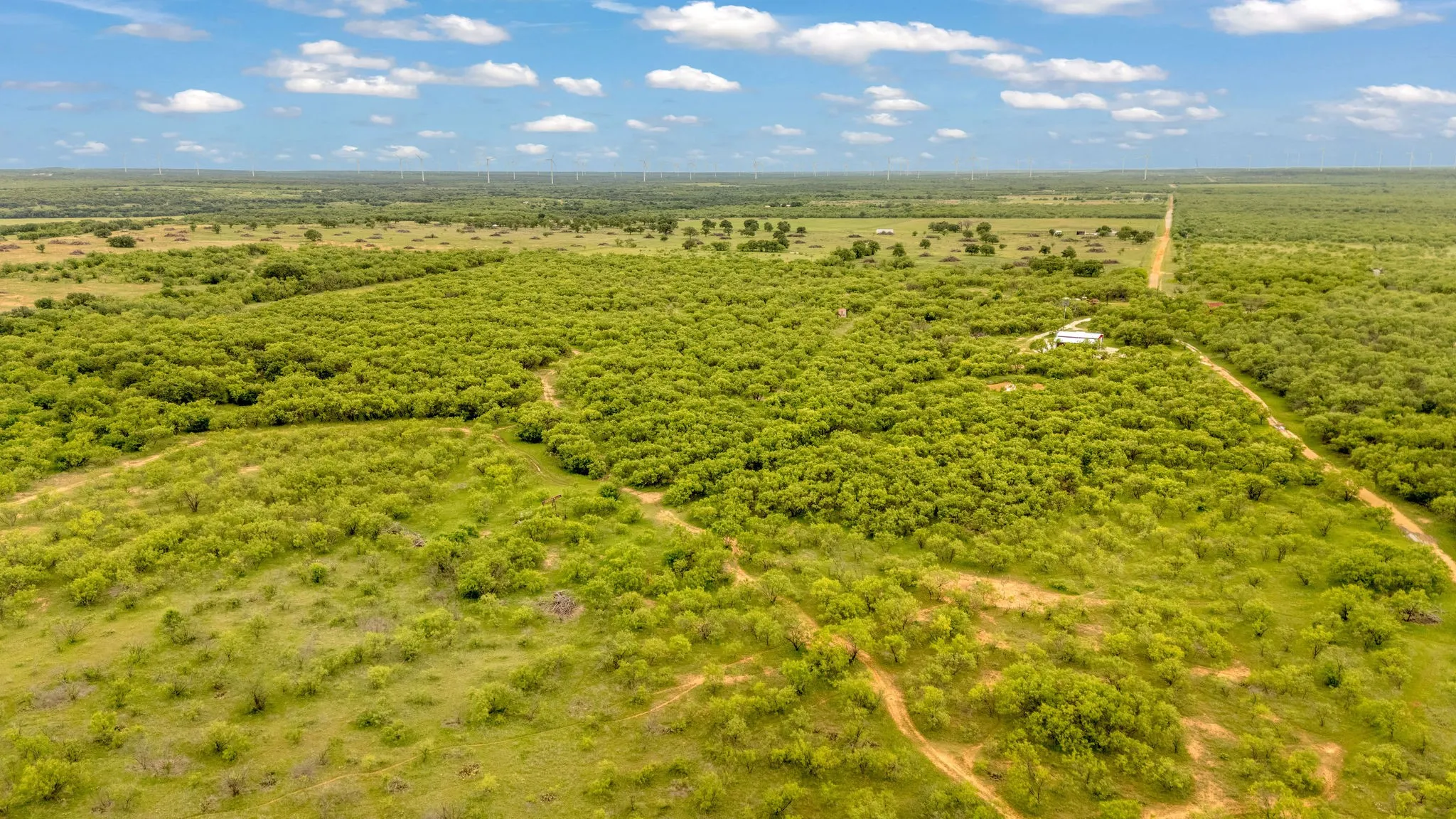  Rural landscape featuring tree coverage wonderful for wildlife including deer, hogs, and turkey. Easy access off CR 133 Moran, Texas.