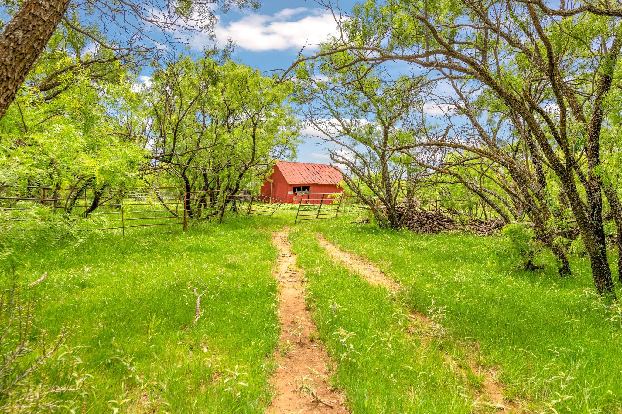 Red barn with a metal roof, surrounded by mature trees, a dirt path, and green foliage.