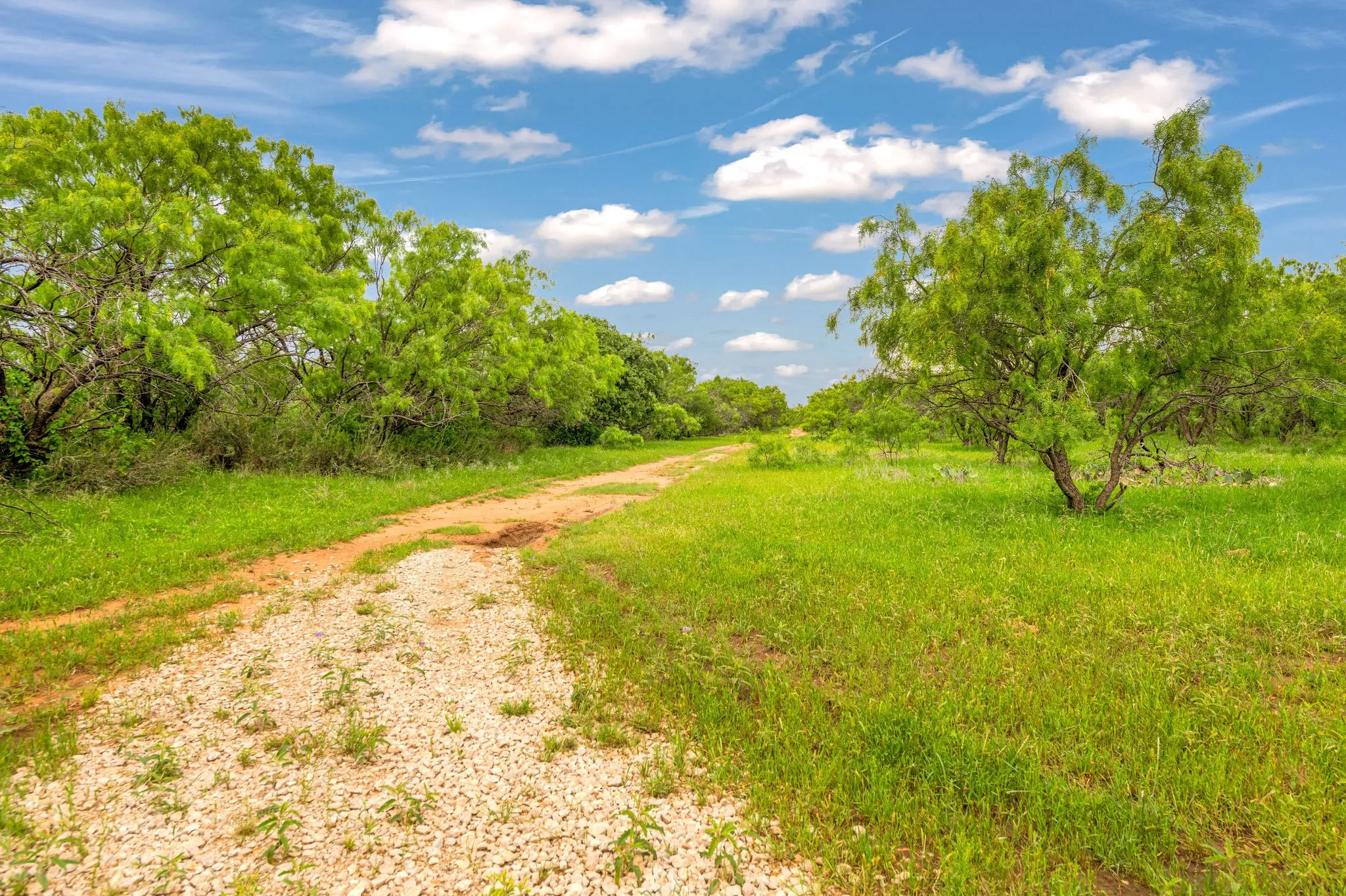 Rural land featuring a gravel and dirt path surrounded by abundant green foliage and mature trees.
