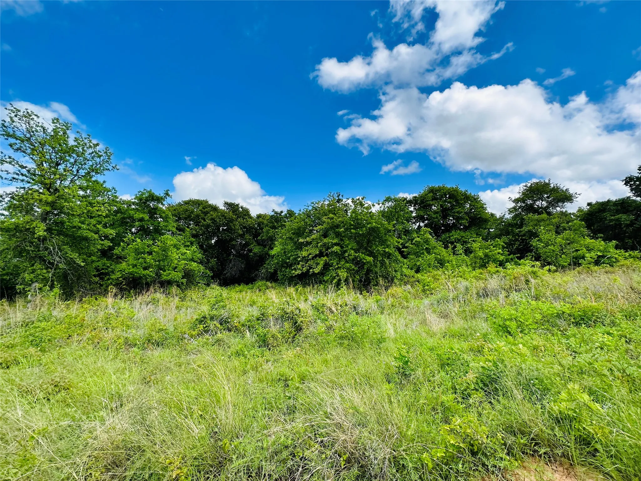 Mobile Home For Sale in Eastland County , 251 County Road 225, Rising Star, Texas 76471, 3 Bedroom, 2 Bathroom, 3 Garage spaces, 2,040 Sqft, built in 2021, Preowned, mls#21247192, Real Estate Agent in Rising Star, Homes For Sale in Eastland county, Homes For Sale in Rising Star, Realtor in Rising Star Texas, Real Estate Brokerage Independent Realty Texas, Luminita Cordes Realtor