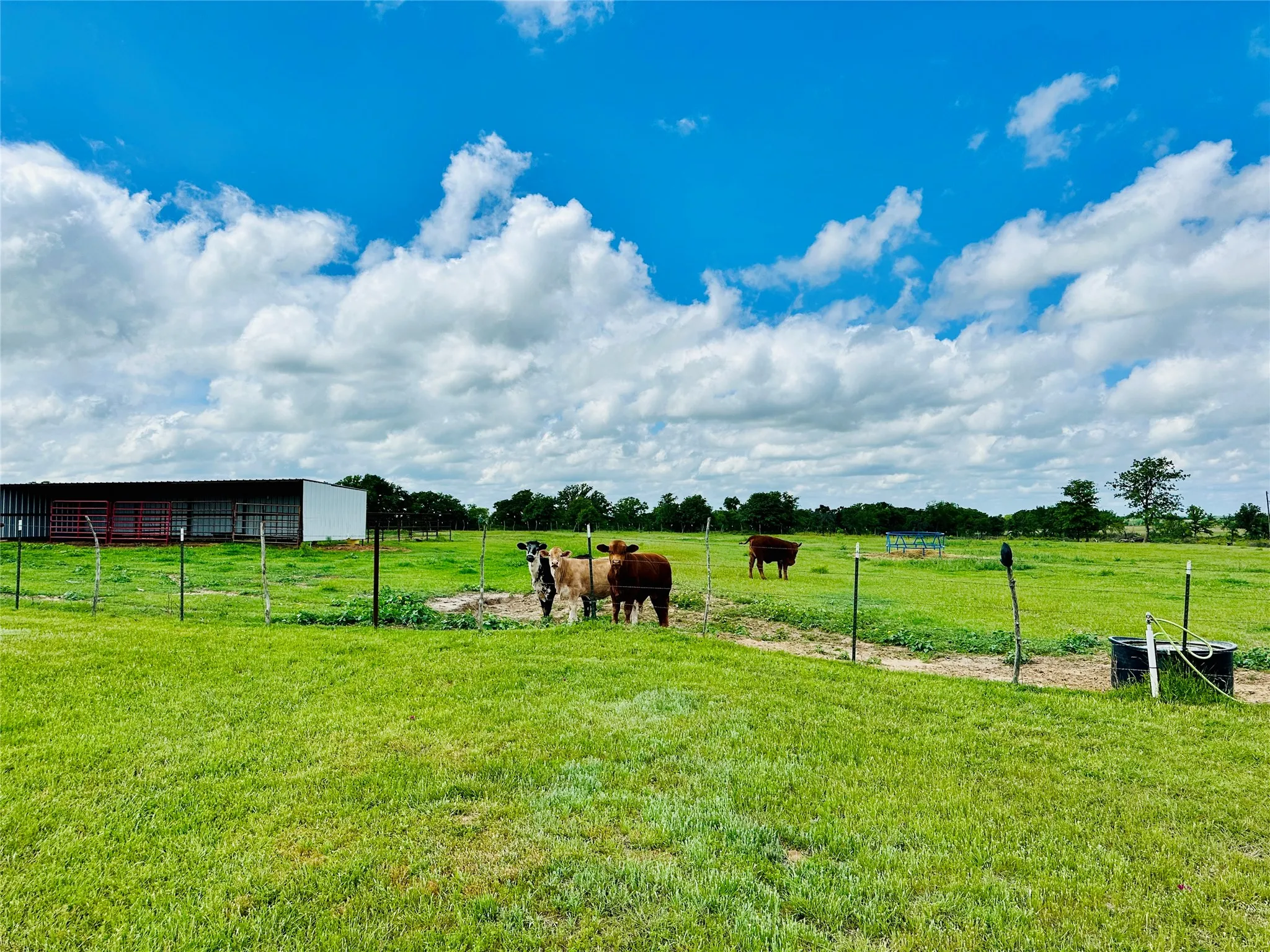 Mobile Home For Sale in Eastland County , 251 County Road 225, Rising Star, Texas 76471, 3 Bedroom, 2 Bathroom, 3 Garage spaces, 2,040 Sqft, built in 2021, Preowned, mls#21247192, Real Estate Agent in Rising Star, Homes For Sale in Eastland county, Homes For Sale in Rising Star, Realtor in Rising Star Texas, Real Estate Brokerage Independent Realty Texas, Luminita Cordes Realtor
