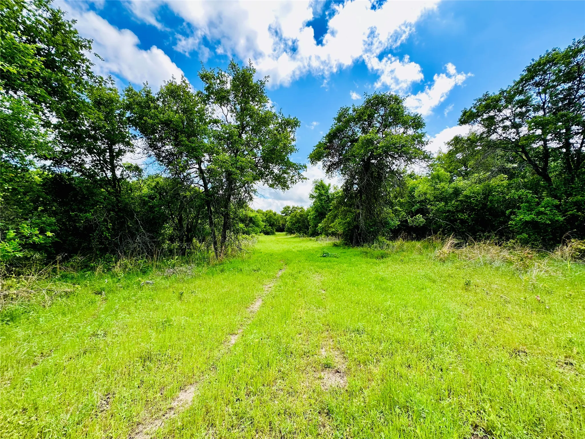 Mobile Home For Sale in Eastland County , 251 County Road 225, Rising Star, Texas 76471, 3 Bedroom, 2 Bathroom, 3 Garage spaces, 2,040 Sqft, built in 2021, Preowned, mls#21247192, Real Estate Agent in Rising Star, Homes For Sale in Eastland county, Homes For Sale in Rising Star, Realtor in Rising Star Texas, Real Estate Brokerage Independent Realty Texas, Luminita Cordes Realtor