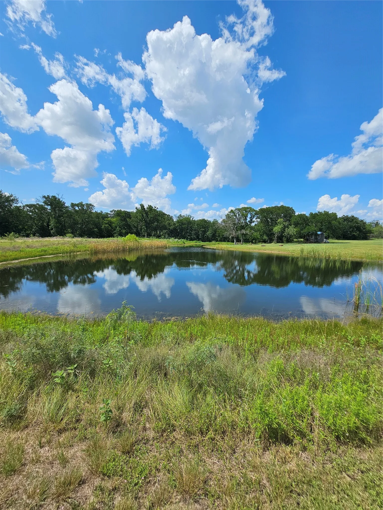 Improved Land For Sale in Hill County , 101 PR 240, Whitney, Texas 76692, 0, 0, Garage spaces, 0 Sqft, built in 2023, Price $479,000, mls#21248572, Real Estate Agent in Whitney, Homes For Sale in Hill county, Homes For Sale in Whitney, Realtor in Whitney Texas, Real Estate Brokerage Independent Realty Texas, Luminita Cordes Realtor