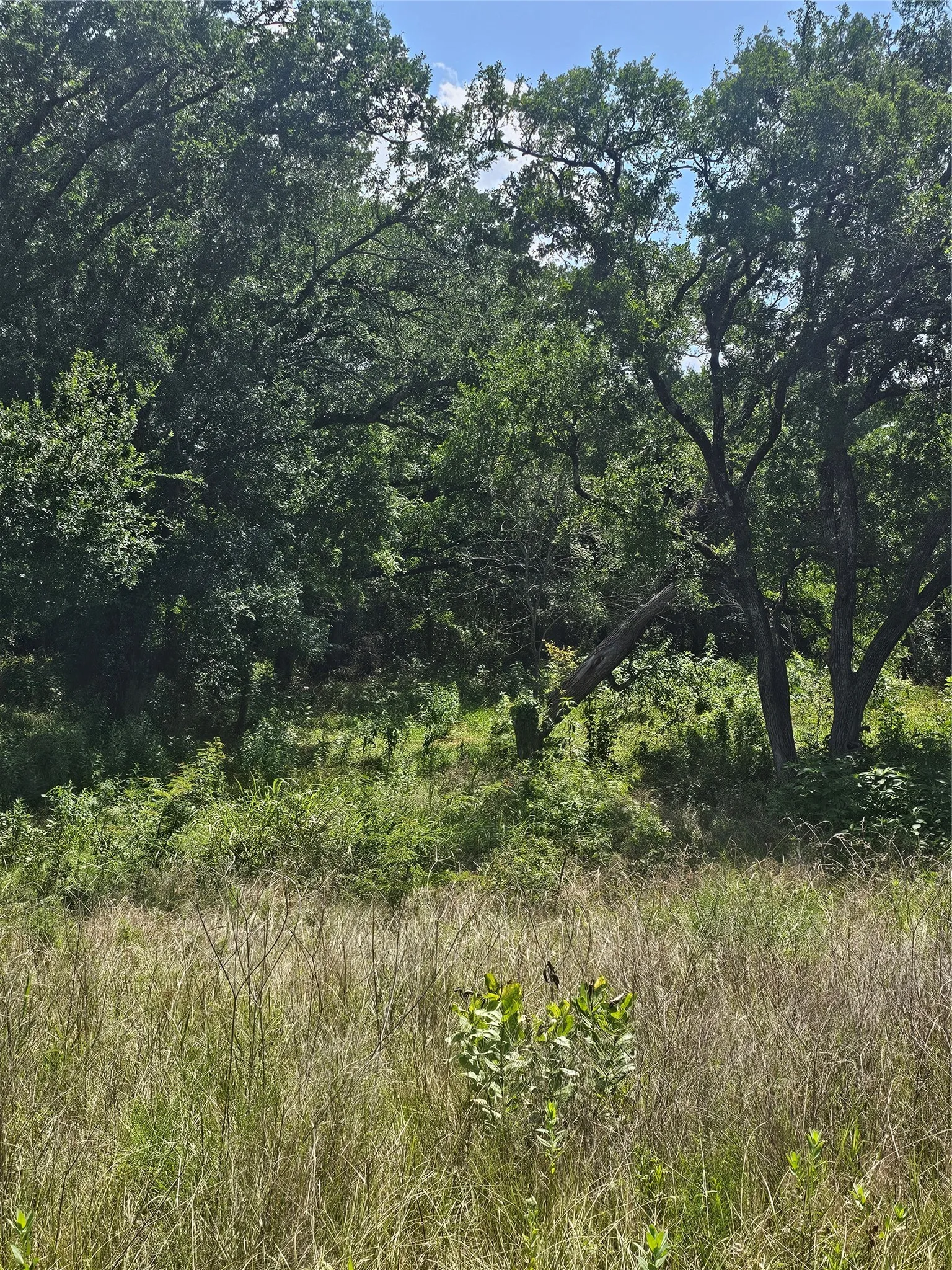 Improved Land For Sale in Hill County , 101 PR 240, Whitney, Texas 76692, 0, 0, Garage spaces, 0 Sqft, built in 2023, Price $479,000, mls#21248572, Real Estate Agent in Whitney, Homes For Sale in Hill county, Homes For Sale in Whitney, Realtor in Whitney Texas, Real Estate Brokerage Independent Realty Texas, Luminita Cordes Realtor