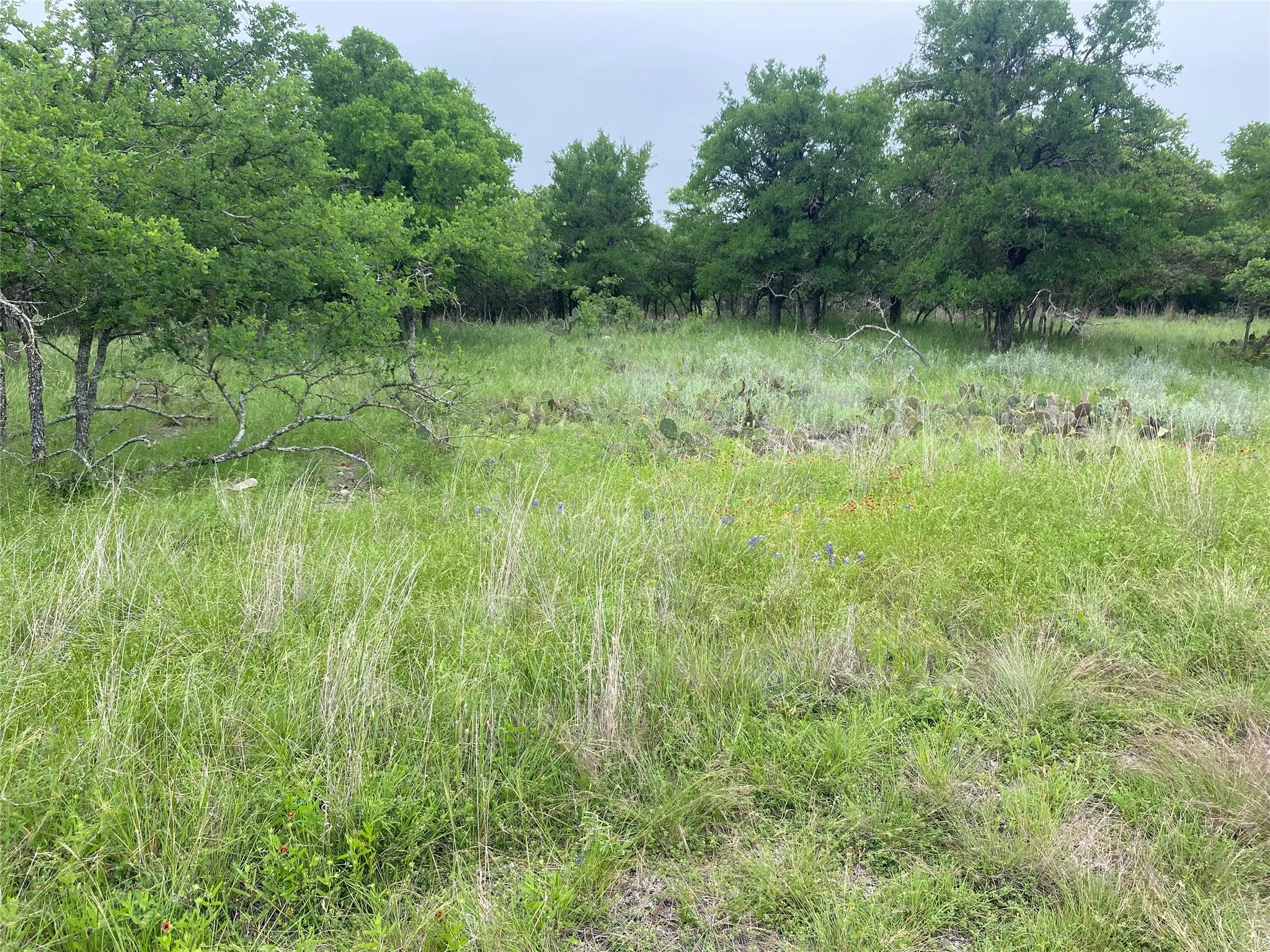 Unimproved Land For Sale in Brown County , 3040 Cutter Circle, May, Texas 76857, 0, 0, Garage spaces, 0 Sqft, built in 0, Price $14,900, mls#21248702, Real Estate Agent in May, Homes For Sale in Brown county, Homes For Sale in May, Realtor in May Texas, Real Estate Brokerage Independent Realty Texas, Luminita Cordes Realtor