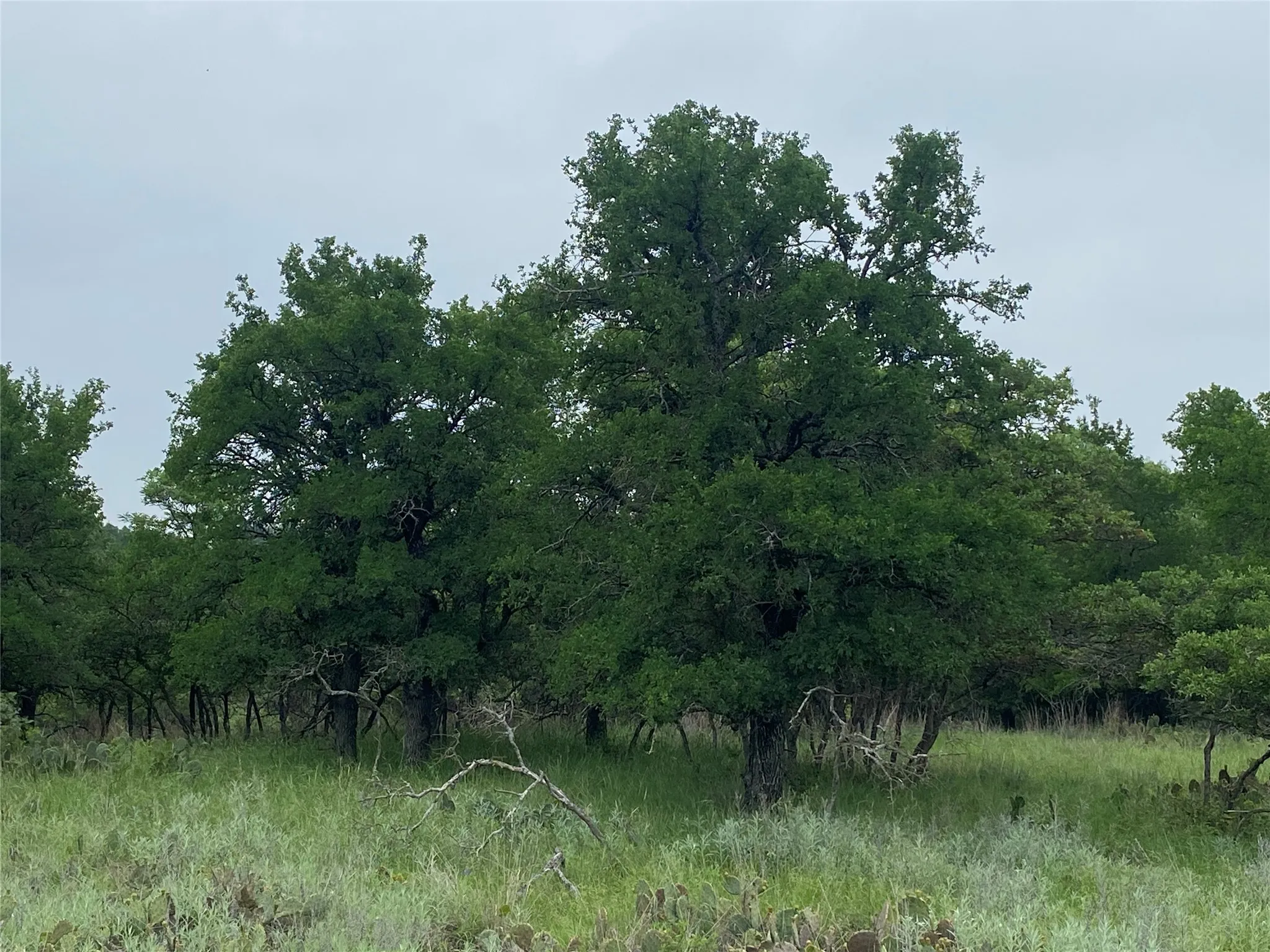 Unimproved Land For Sale in Brown County , 3040 Cutter Circle, May, Texas 76857, 0, 0, Garage spaces, 0 Sqft, built in 0, Price $14,900, mls#21248702, Real Estate Agent in May, Homes For Sale in Brown county, Homes For Sale in May, Realtor in May Texas, Real Estate Brokerage Independent Realty Texas, Luminita Cordes Realtor