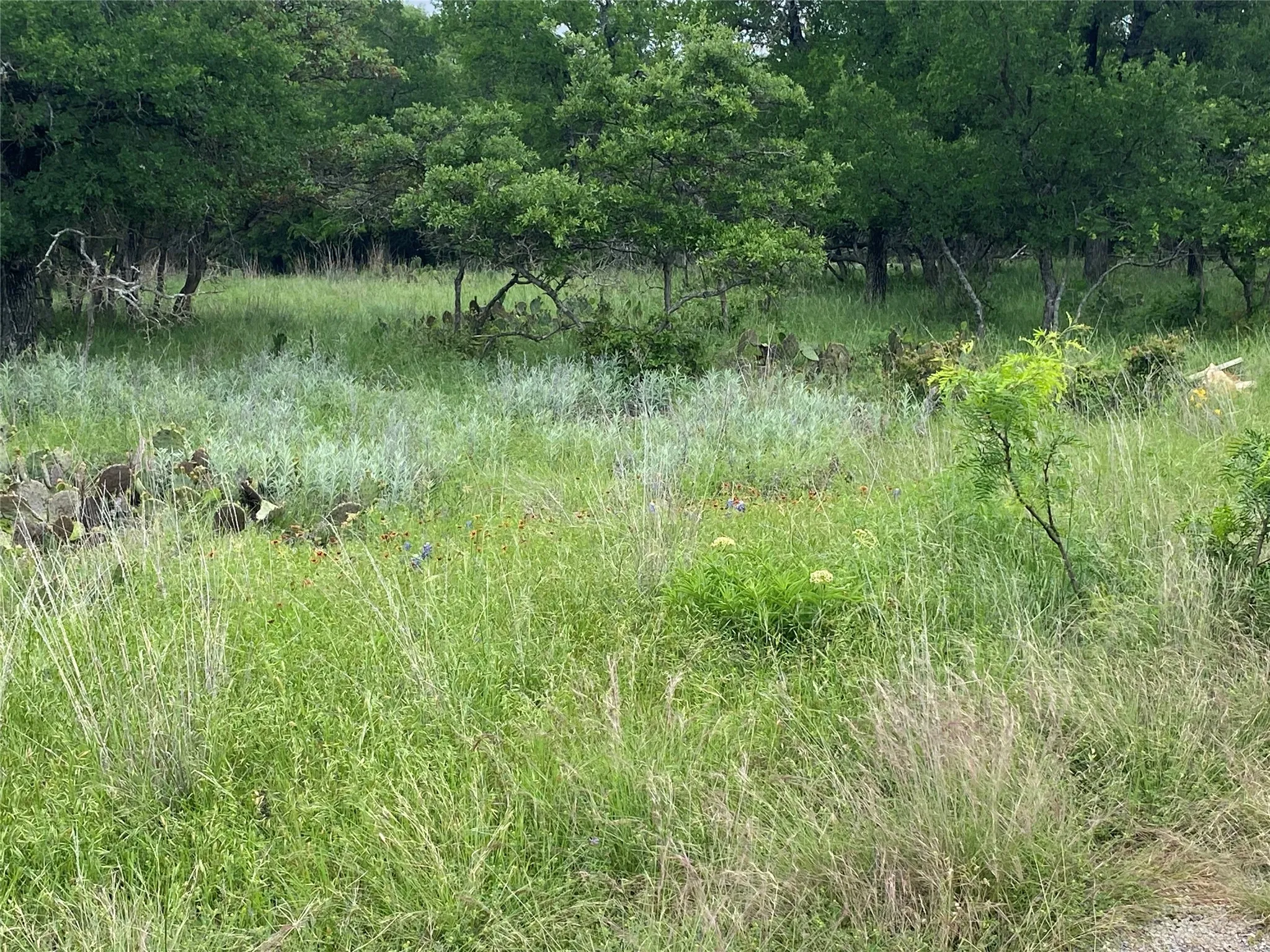 Unimproved Land For Sale in Brown County , 3040 Cutter Circle, May, Texas 76857, 0, 0, Garage spaces, 0 Sqft, built in 0, Price $14,900, mls#21248702, Real Estate Agent in May, Homes For Sale in Brown county, Homes For Sale in May, Realtor in May Texas, Real Estate Brokerage Independent Realty Texas, Luminita Cordes Realtor
