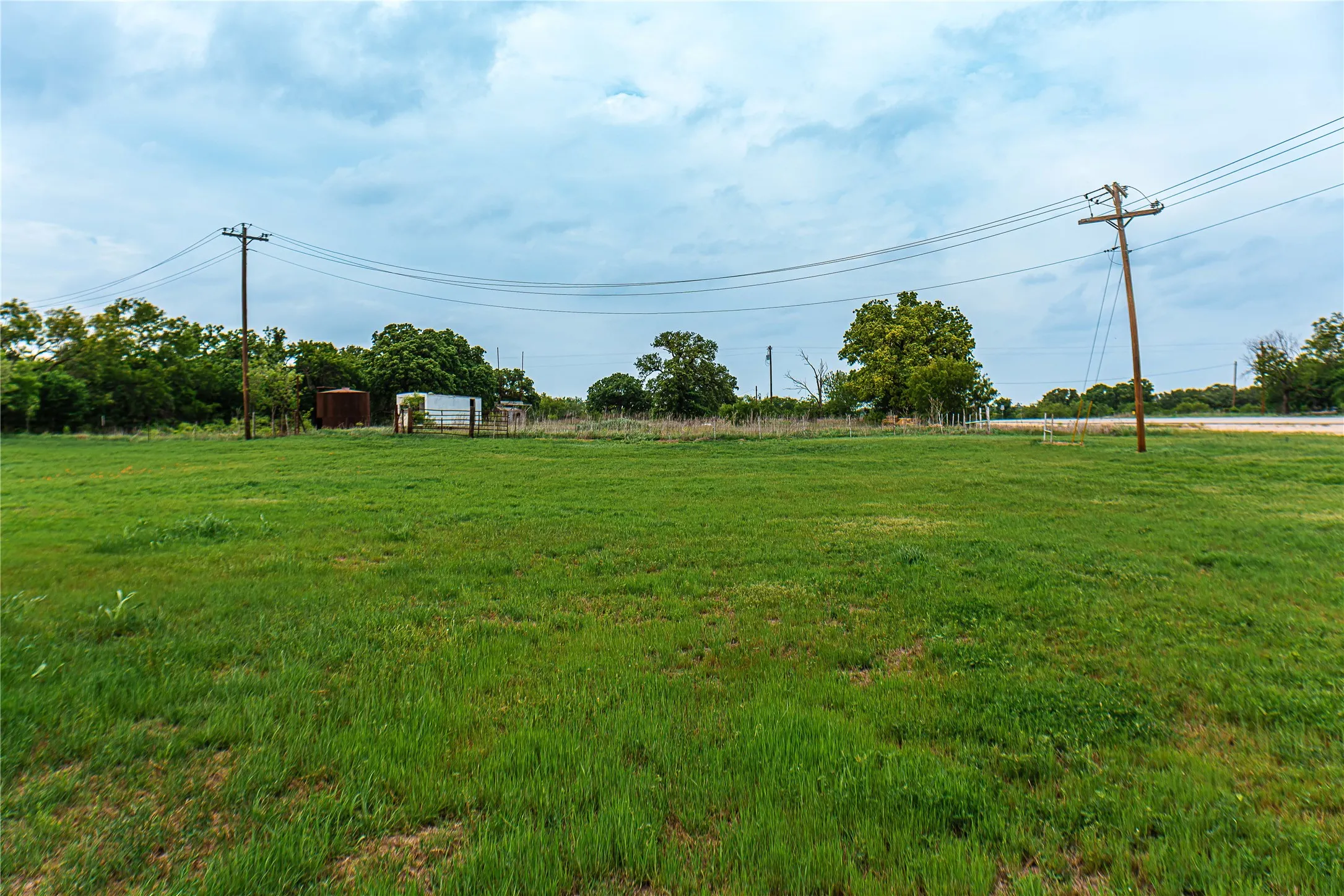 Expansive green space featuring scattered trees, utility poles, and distant structures