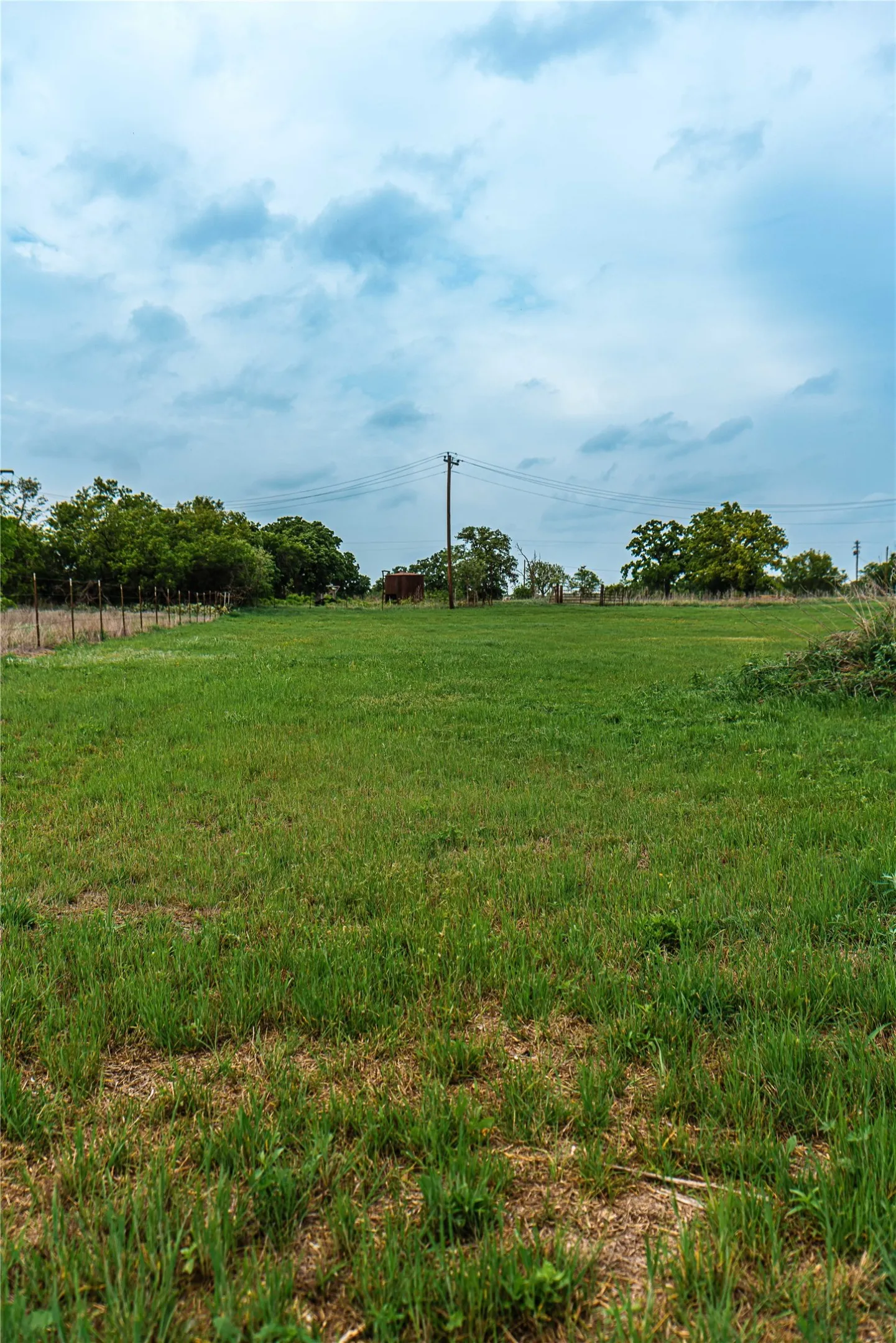 Expansive green field with mature trees bordering the perimeter
