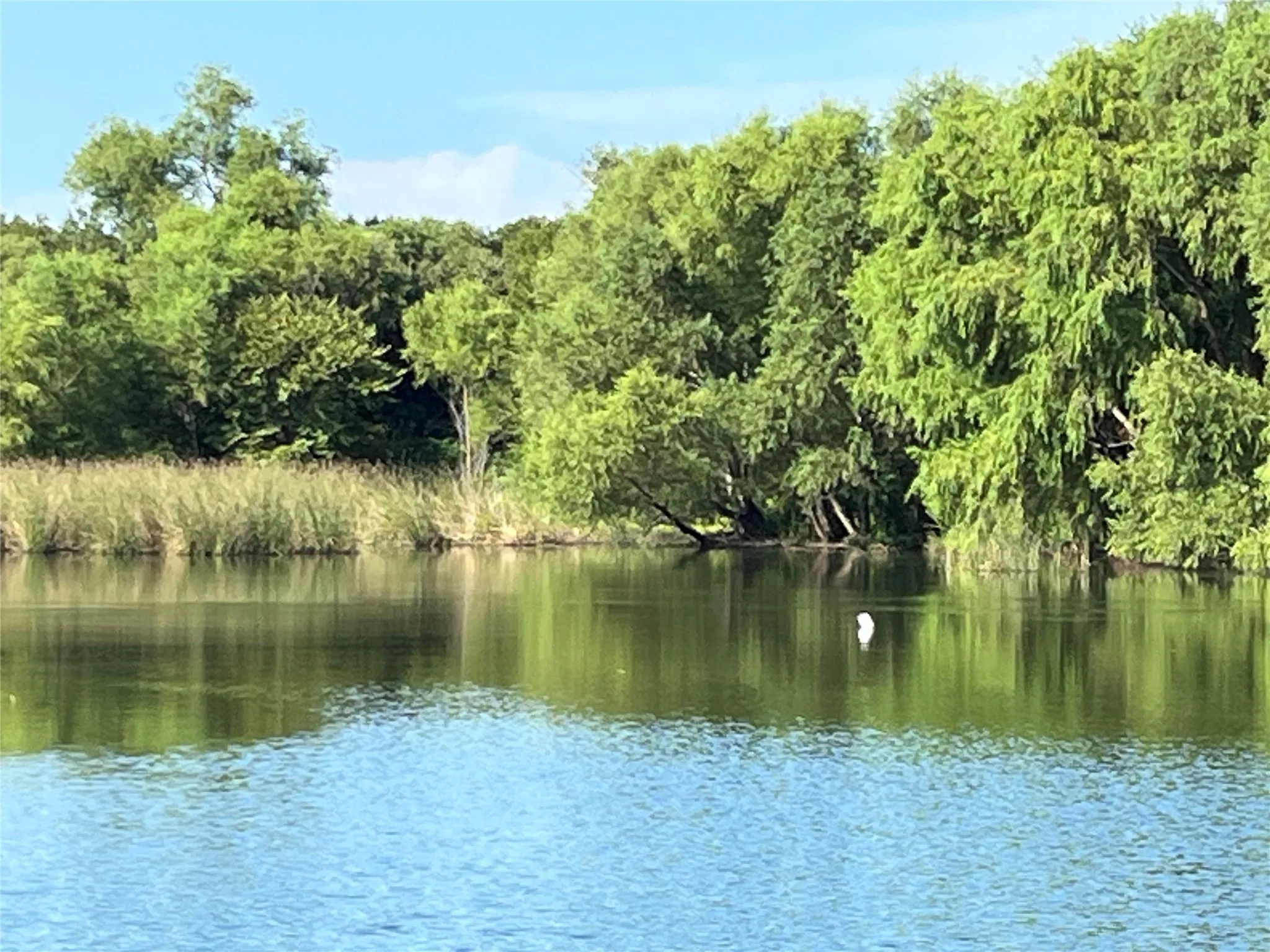 Lake Alvarado