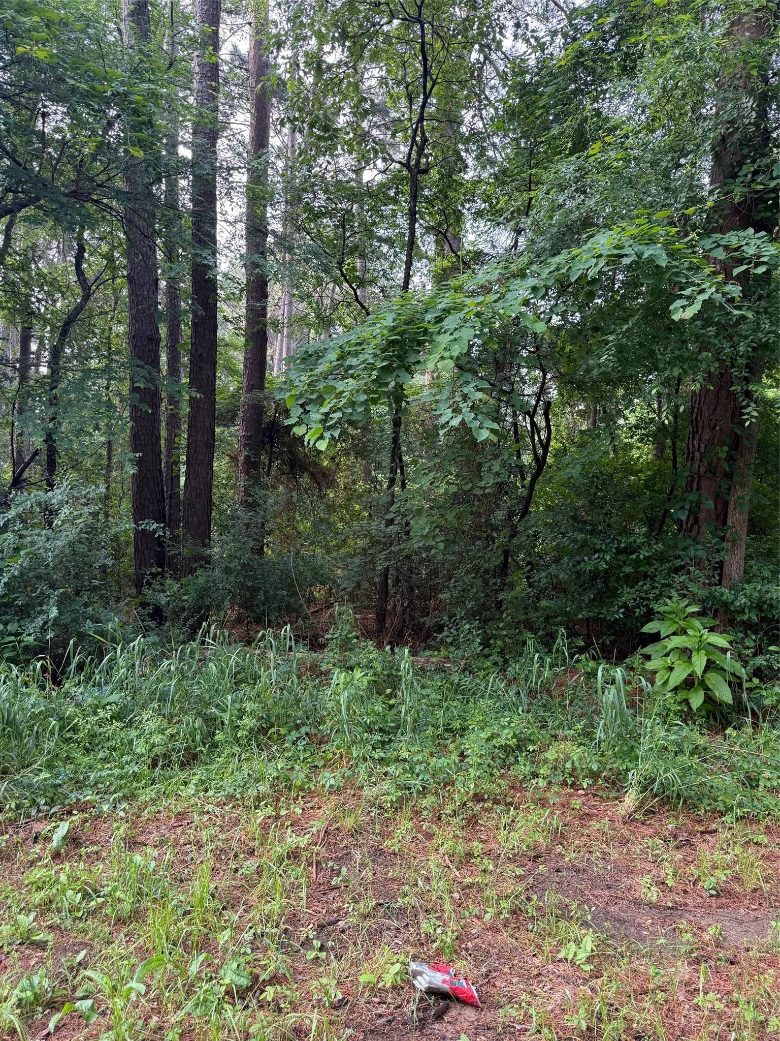 Unimproved Land For Sale in Henderson County , 23575 Three Points Drive, Frankston, Texas 75763, 0, 0, Garage spaces, 0 Sqft, built in 0, mls#21247315, Real Estate Agent in Frankston, Homes For Sale in Henderson county, Homes For Sale in Frankston, Realtor in Frankston Texas, Real Estate Brokerage Independent Realty Texas, Luminita Cordes Realtor