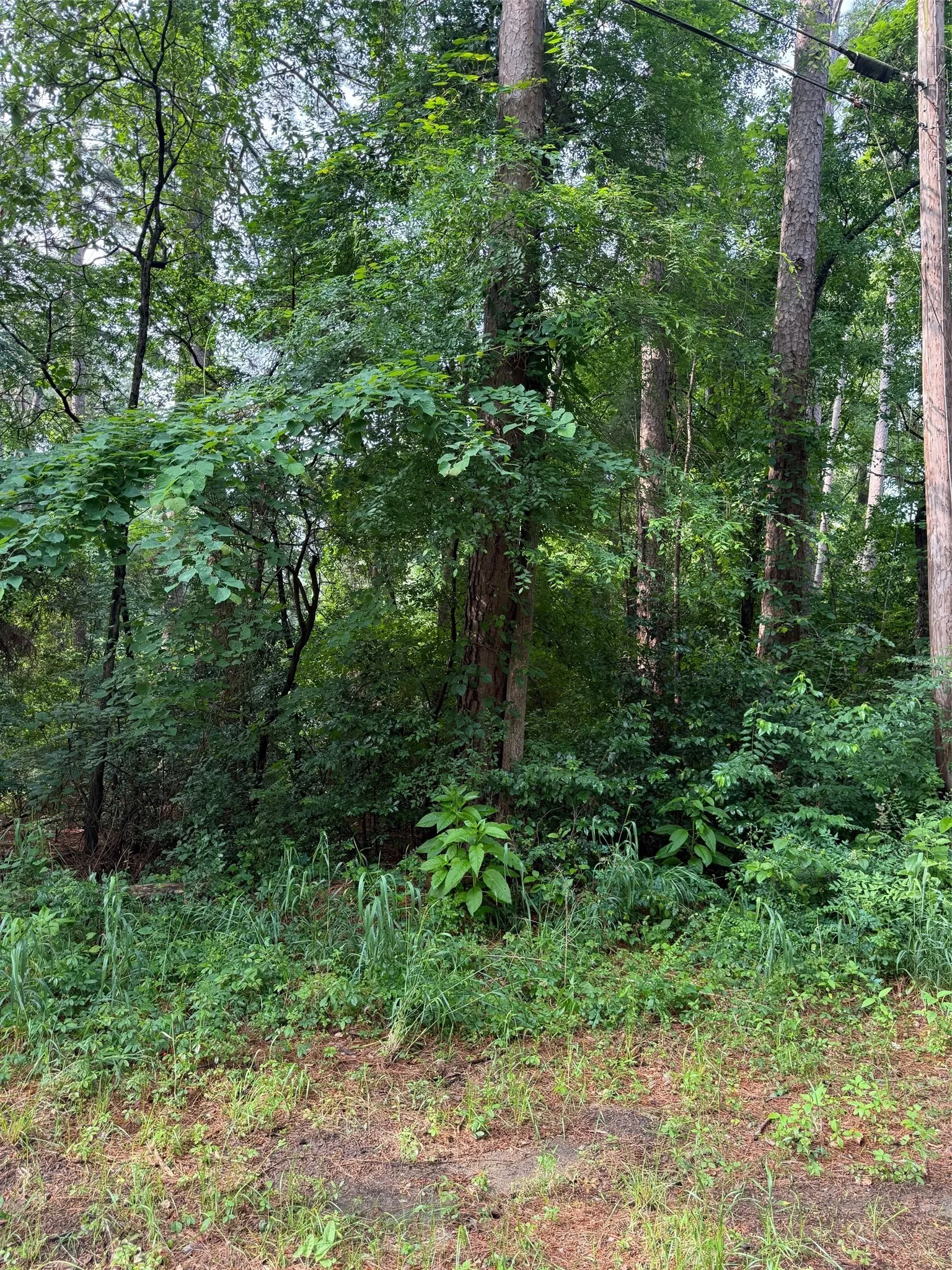 Unimproved Land For Sale in Henderson County , 23575 Three Points Drive, Frankston, Texas 75763, 0, 0, Garage spaces, 0 Sqft, built in 0, mls#21247315, Real Estate Agent in Frankston, Homes For Sale in Henderson county, Homes For Sale in Frankston, Realtor in Frankston Texas, Real Estate Brokerage Independent Realty Texas, Luminita Cordes Realtor