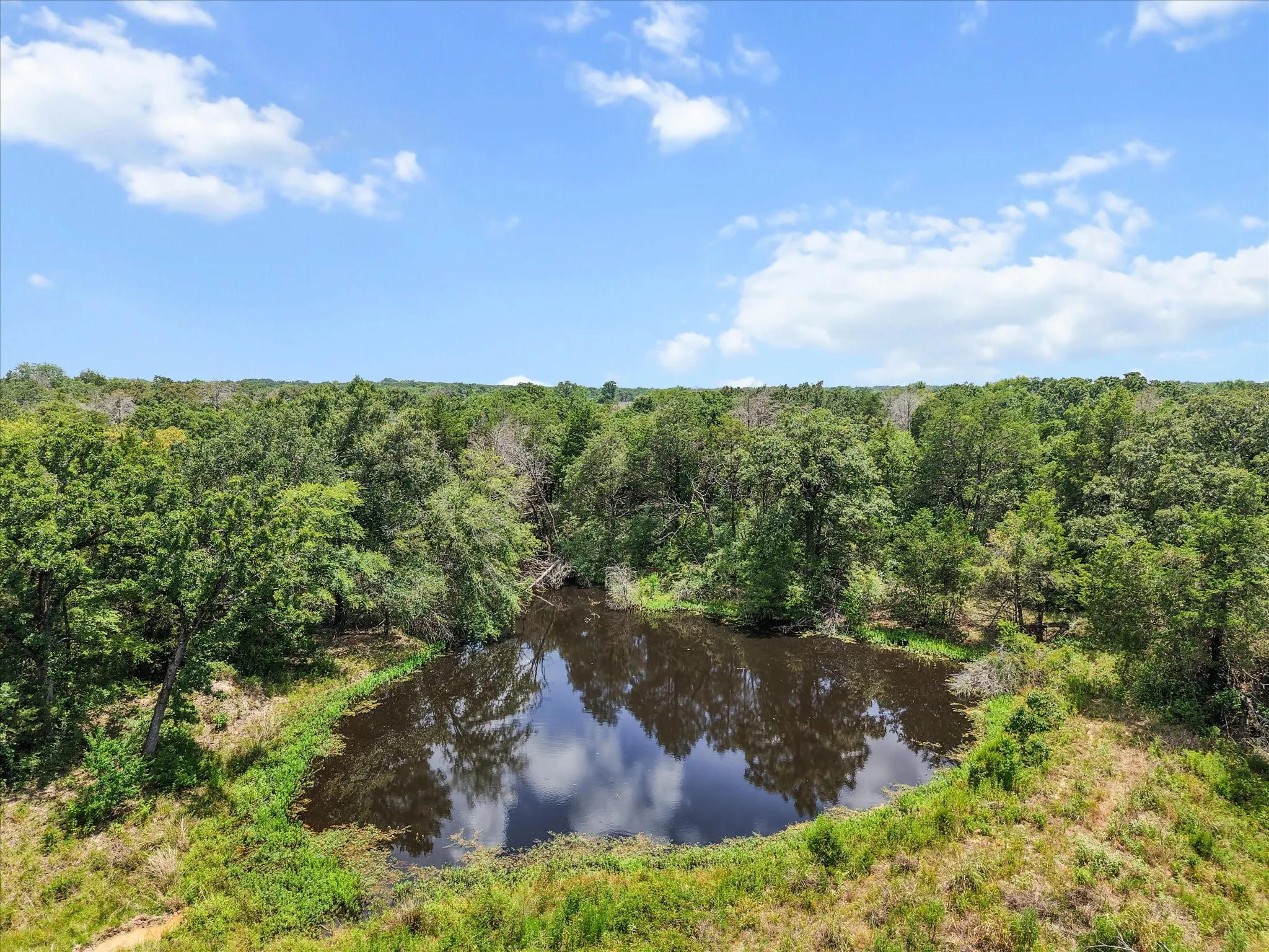 Farm For Sale in Freestone County , 103 Fcr 519, Fairfield, Texas 75840, 3 Bedroom, 3 Bathroom, 1 Garage spaces, 2,468 Sqft, built in 1987, mls#21240600, Real Estate Agent in Fairfield, Homes For Sale in Freestone county, Homes For Sale in Fairfield, Realtor in Fairfield Texas, Real Estate Brokerage Independent Realty Texas, Luminita Cordes Realtor