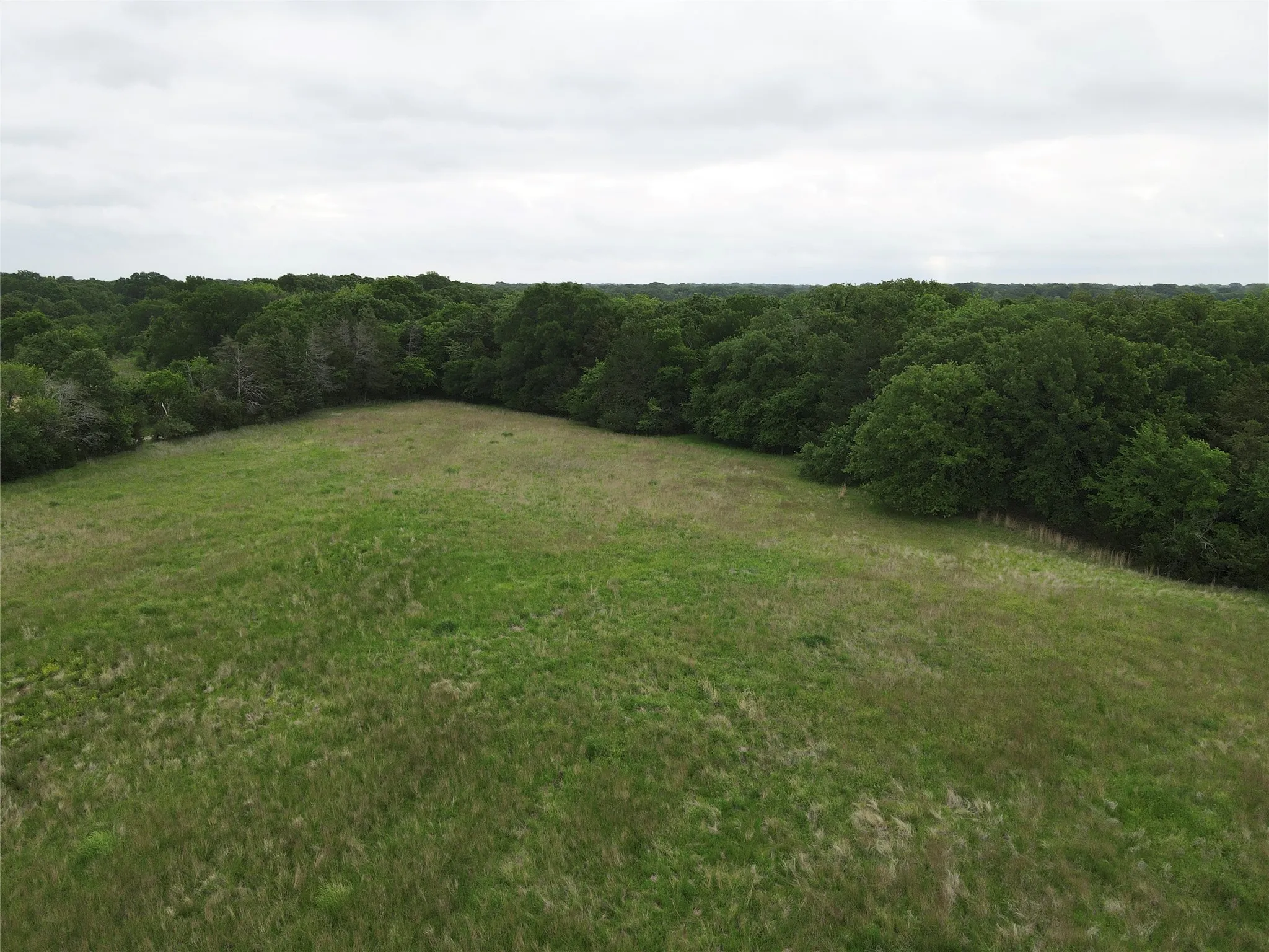 Unimproved Land For Sale in Fannin County , TBD County Road 1145, Ravenna, Texas 75476, 0, 0, Garage spaces, 0 Sqft, built in 0, Price $200,500, mls#21248890, Real Estate Agent in Ravenna, Homes For Sale in Fannin county, Homes For Sale in Ravenna, Realtor in Ravenna Texas, Real Estate Brokerage Independent Realty Texas, Luminita Cordes Realtor