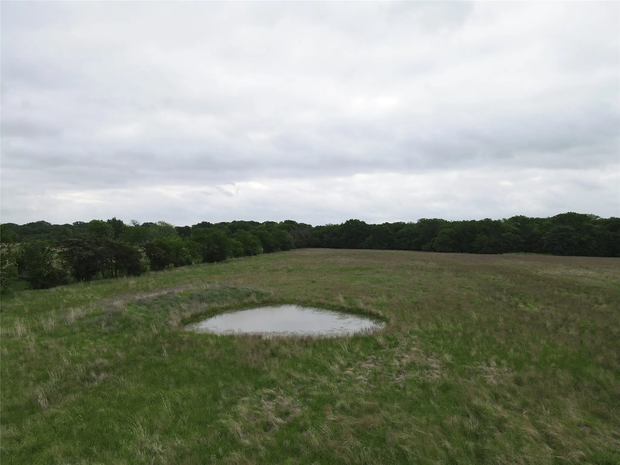 Unimproved Land For Sale in Fannin County , TBD County Road 1145, Ravenna, Texas 75476, 0, 0, Garage spaces, 0 Sqft, built in 0, Price $200,500, mls#21248890, Real Estate Agent in Ravenna, Homes For Sale in Fannin county, Homes For Sale in Ravenna, Realtor in Ravenna Texas, Real Estate Brokerage Independent Realty Texas, Luminita Cordes Realtor