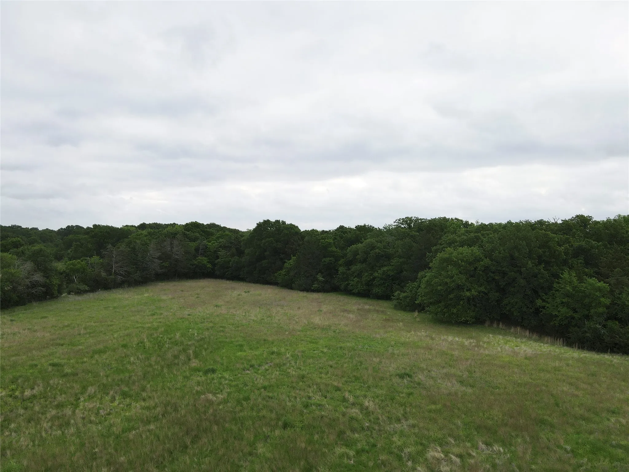 Unimproved Land For Sale in Fannin County , TBD County Road 1145, Ravenna, Texas 75476, 0, 0, Garage spaces, 0 Sqft, built in 0, Price $200,500, mls#21248890, Real Estate Agent in Ravenna, Homes For Sale in Fannin county, Homes For Sale in Ravenna, Realtor in Ravenna Texas, Real Estate Brokerage Independent Realty Texas, Luminita Cordes Realtor
