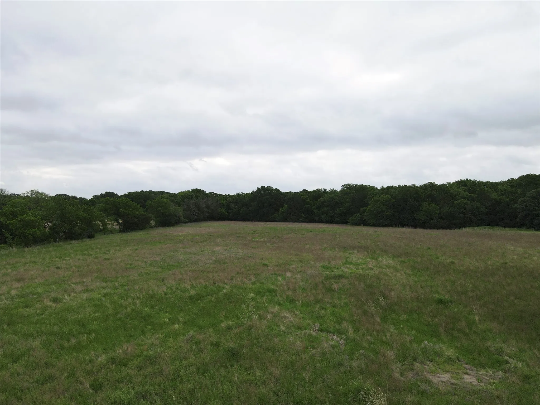 Unimproved Land For Sale in Fannin County , TBD County Road 1145, Ravenna, Texas 75476, 0, 0, Garage spaces, 0 Sqft, built in 0, Price $200,500, mls#21248890, Real Estate Agent in Ravenna, Homes For Sale in Fannin county, Homes For Sale in Ravenna, Realtor in Ravenna Texas, Real Estate Brokerage Independent Realty Texas, Luminita Cordes Realtor