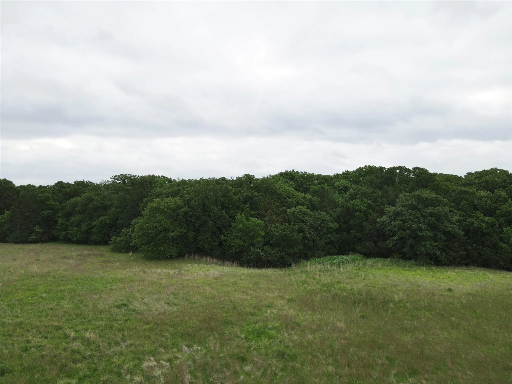 Unimproved Land For Sale in Fannin County , TBD County Road 1145, Ravenna, Texas 75476, 0, 0, Garage spaces, 0 Sqft, built in 0, Price $200,500, mls#21248890, Real Estate Agent in Ravenna, Homes For Sale in Fannin county, Homes For Sale in Ravenna, Realtor in Ravenna Texas, Real Estate Brokerage Independent Realty Texas, Luminita Cordes Realtor